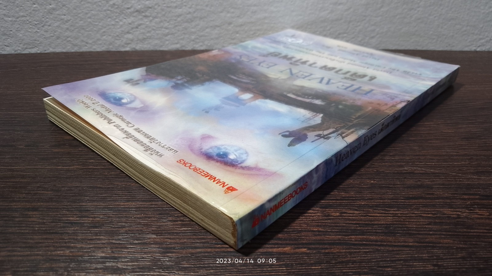 เด็กตาทิพย์ / David Almond