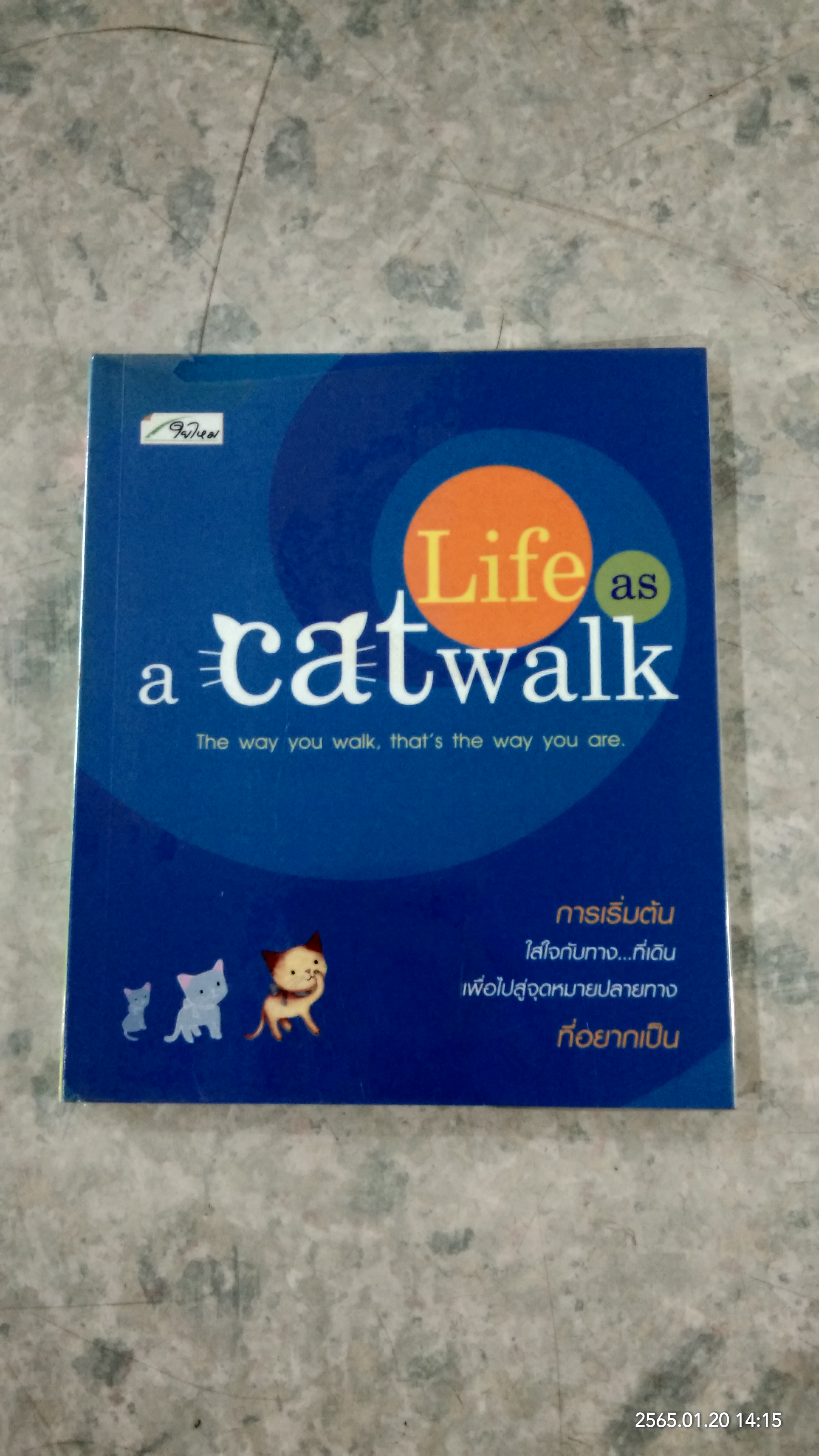 Life as a cat walk / ว.แหวน