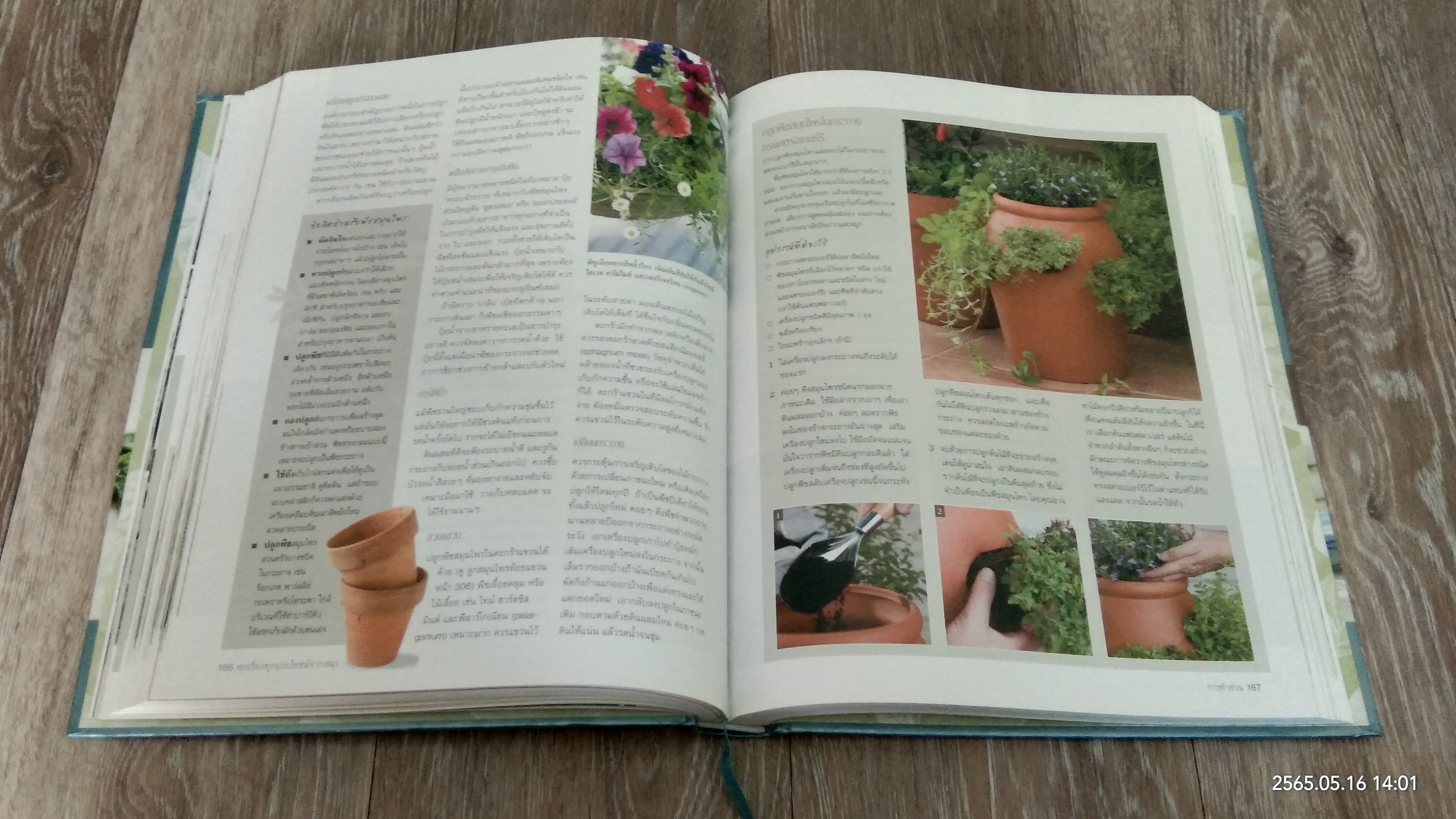 ทุกเรื่องทุกประโยชน์จากสมุนไพร / รีดเดอร์ส ไดเจสท์