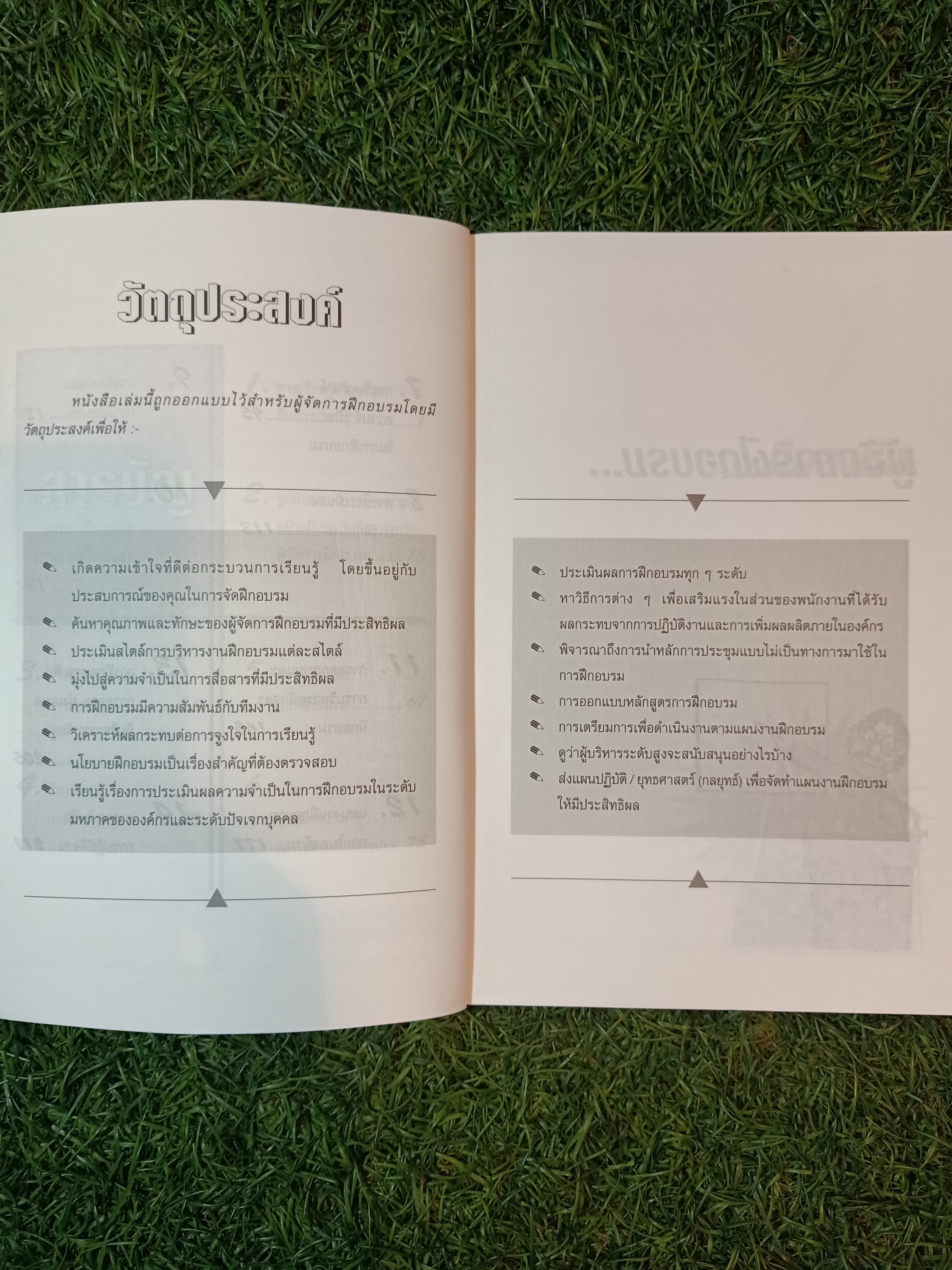 ผู้จัดการฝึกอบรม มืออาชีพ / โดย พิชัย ลีพิพัฒน์ไพบูลย์