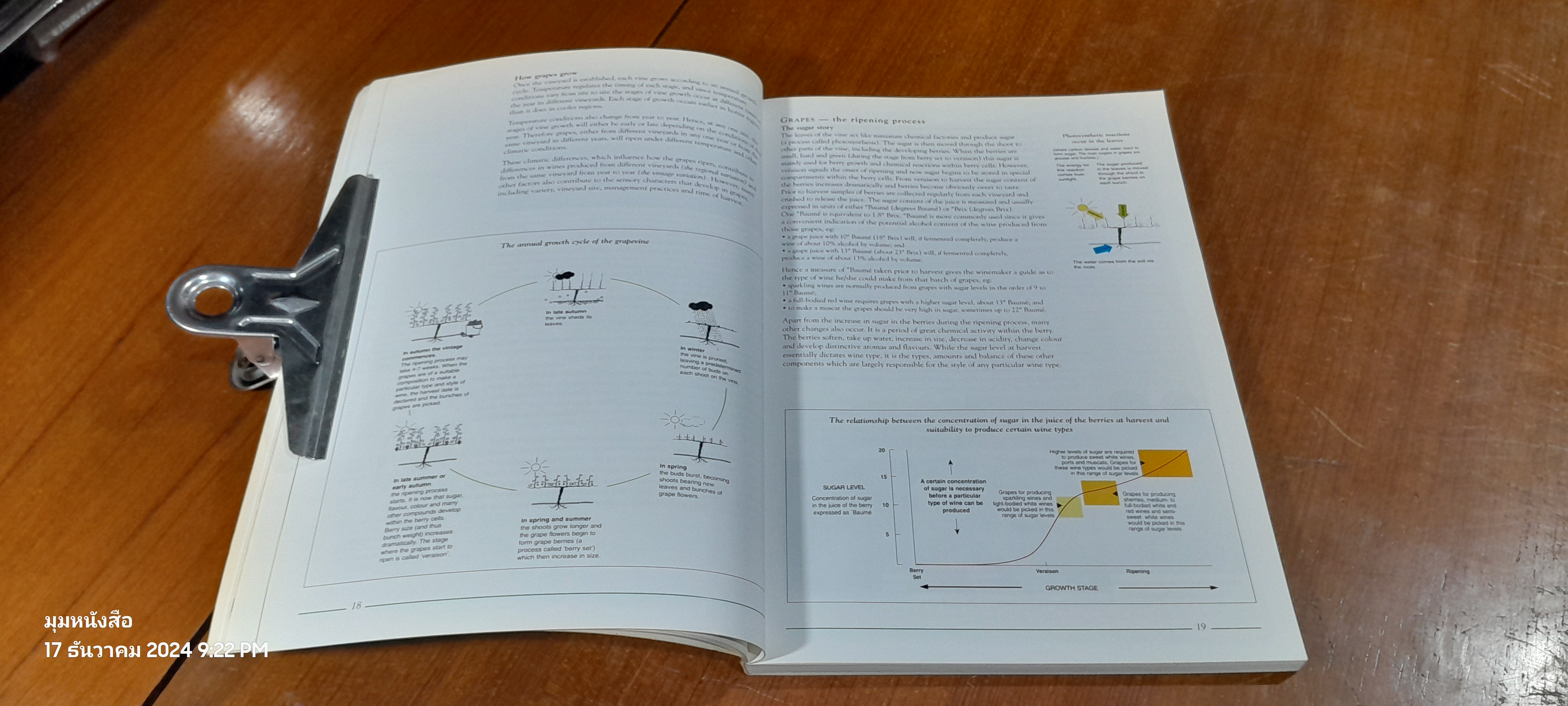 AUSTRALIAN WINE from the Vine to the Glass( มีรอยขีดเขียนด้านใน )