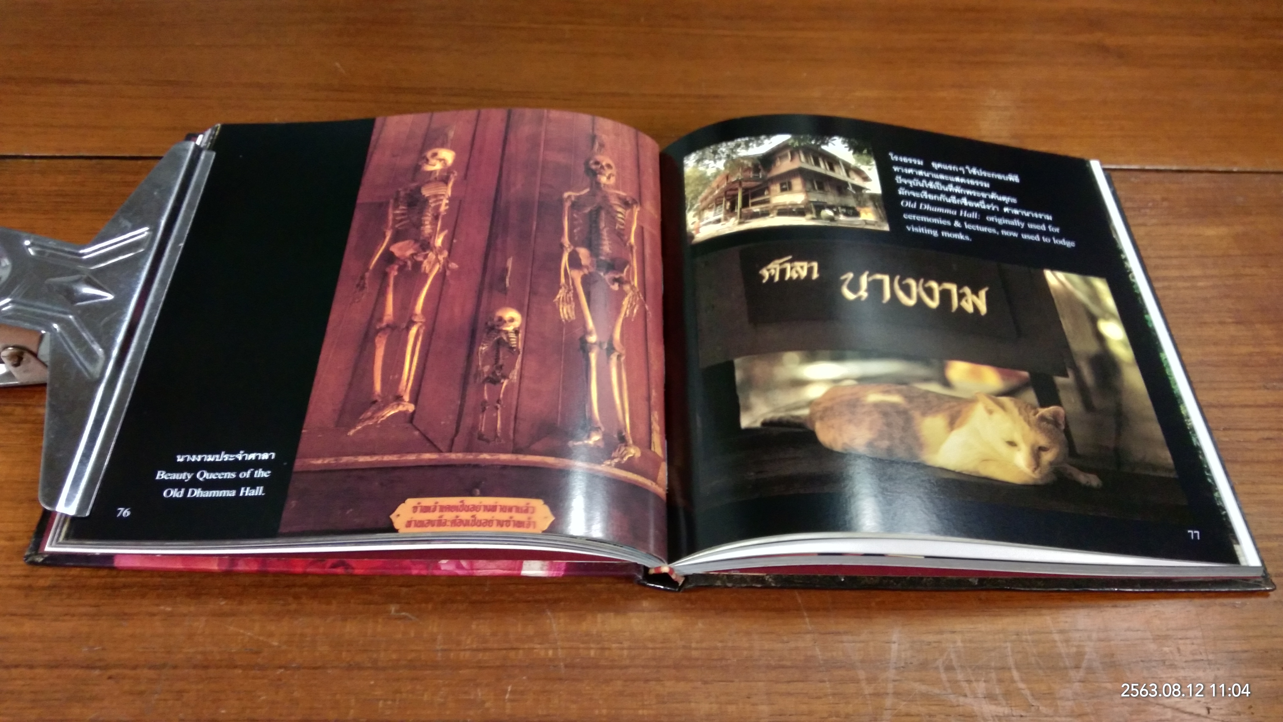 CHAIYA สวนโมกข์