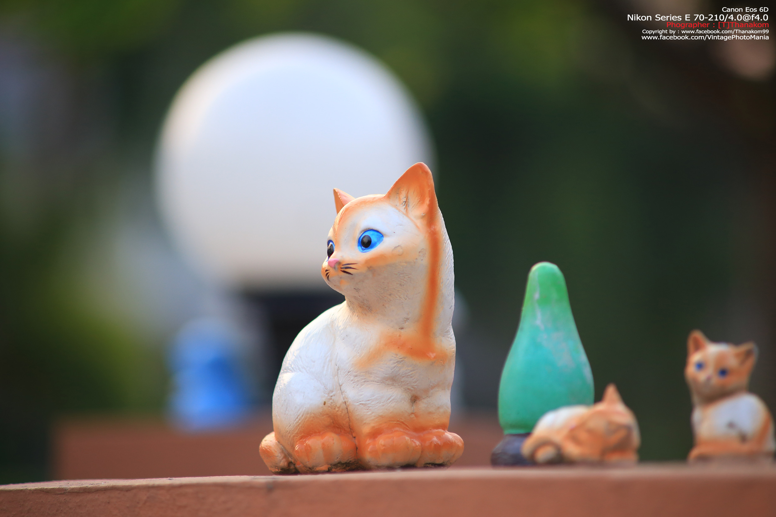 Nikon Series-E 70-210/4.0 *Nikon Ai-S Mount เลนส์มือหมุนคมๆละลายฉากหลังสวย