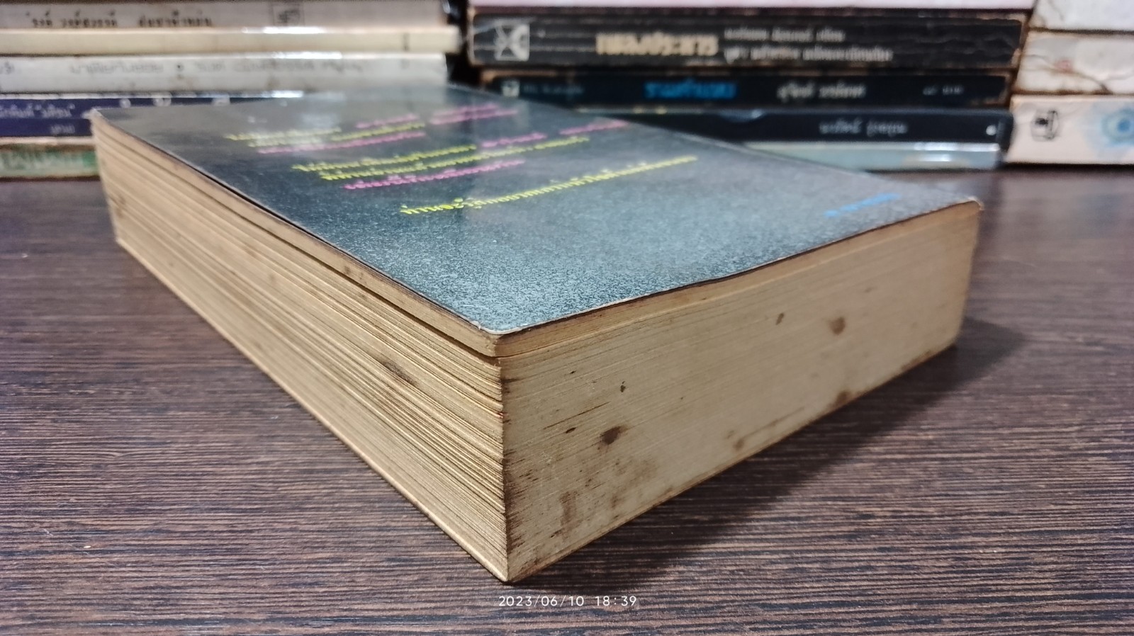 จอมทรหด / ฮาโรลด์ รอบบินส์