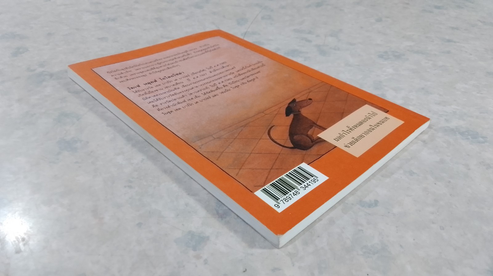 กุ๊ชโฉ่ / โฆเช่ หลุยส์ โอไลยโซล่า