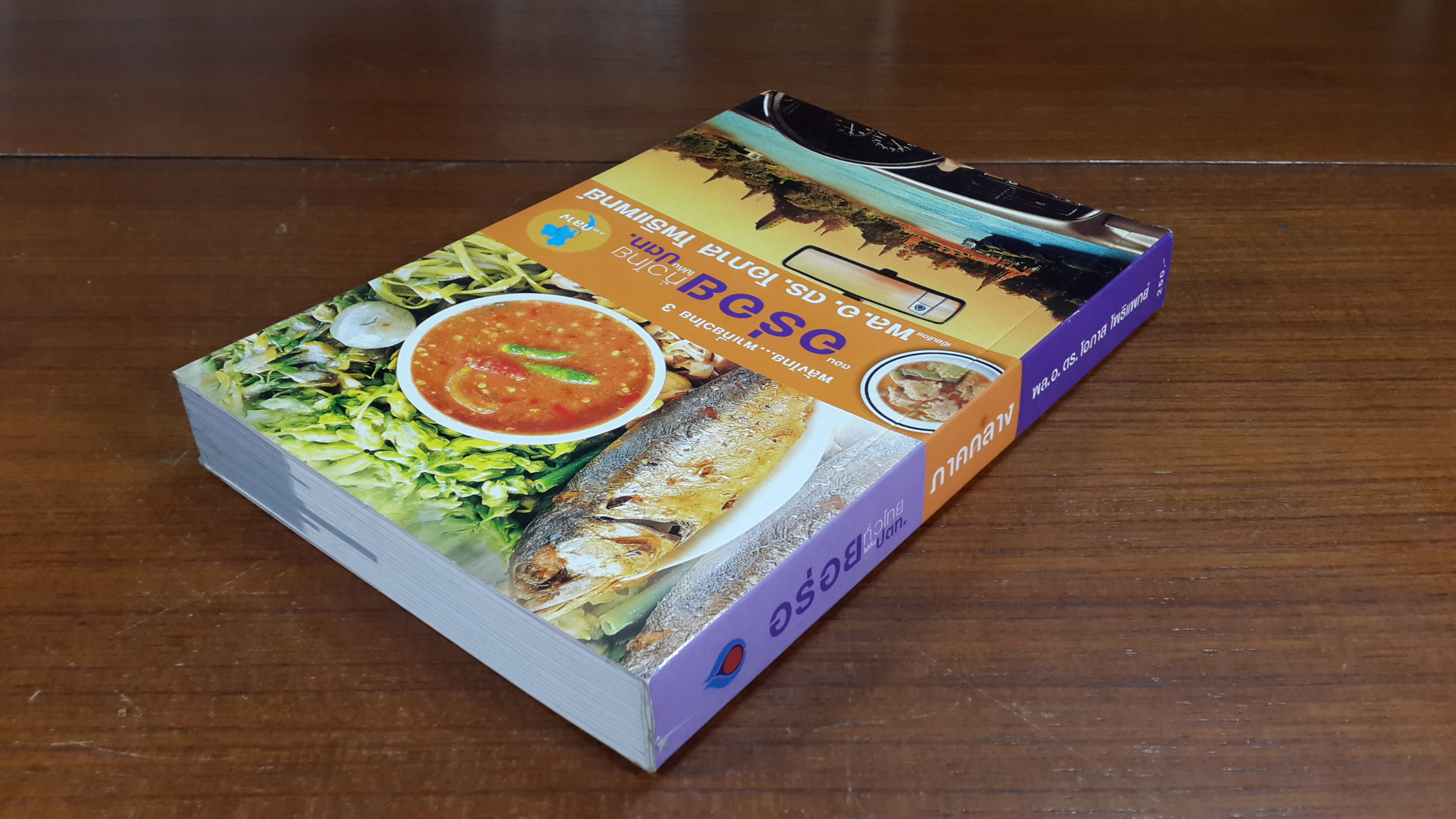 อร่อยทั่วไทยไปกับ ปตท. : ภาคกลาง / พล.อ.ดร. โอภาส โพธิแพทย์