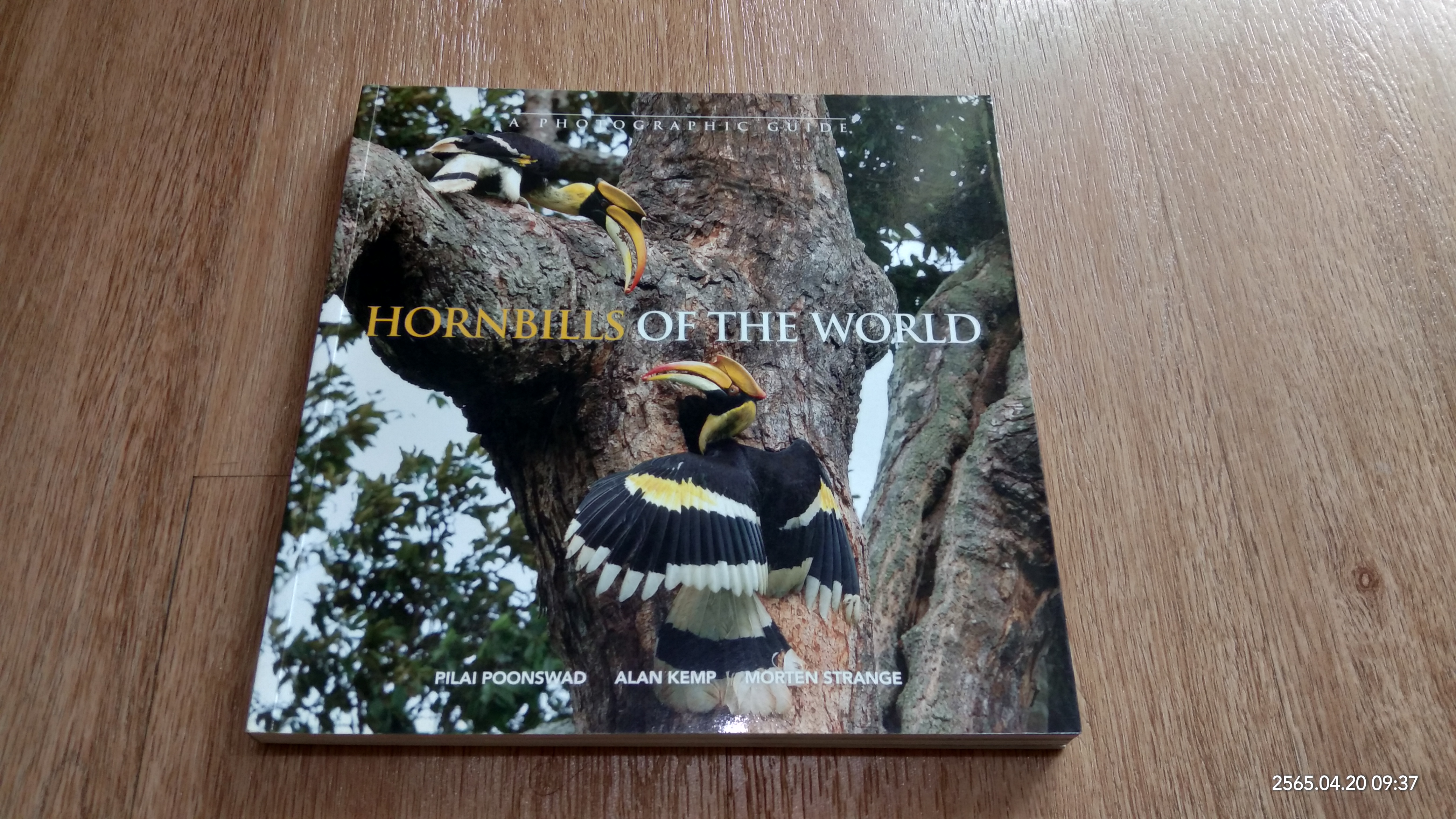 HORNBILLS OF THE WORLD / Poonswad, Pilai, Alan Kemp, Morten Strange