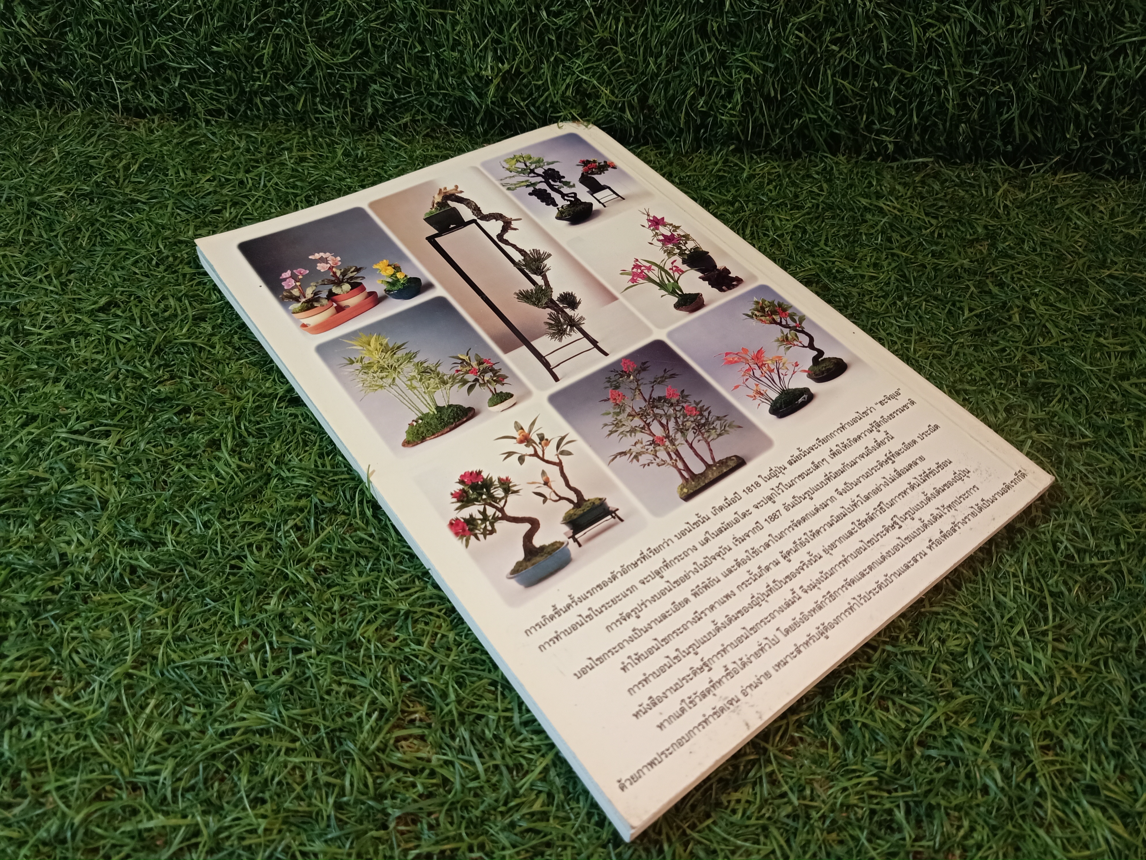 บอนไซประดิษฐ์ / หจก. เพชรกะรัต สติวดิโอ