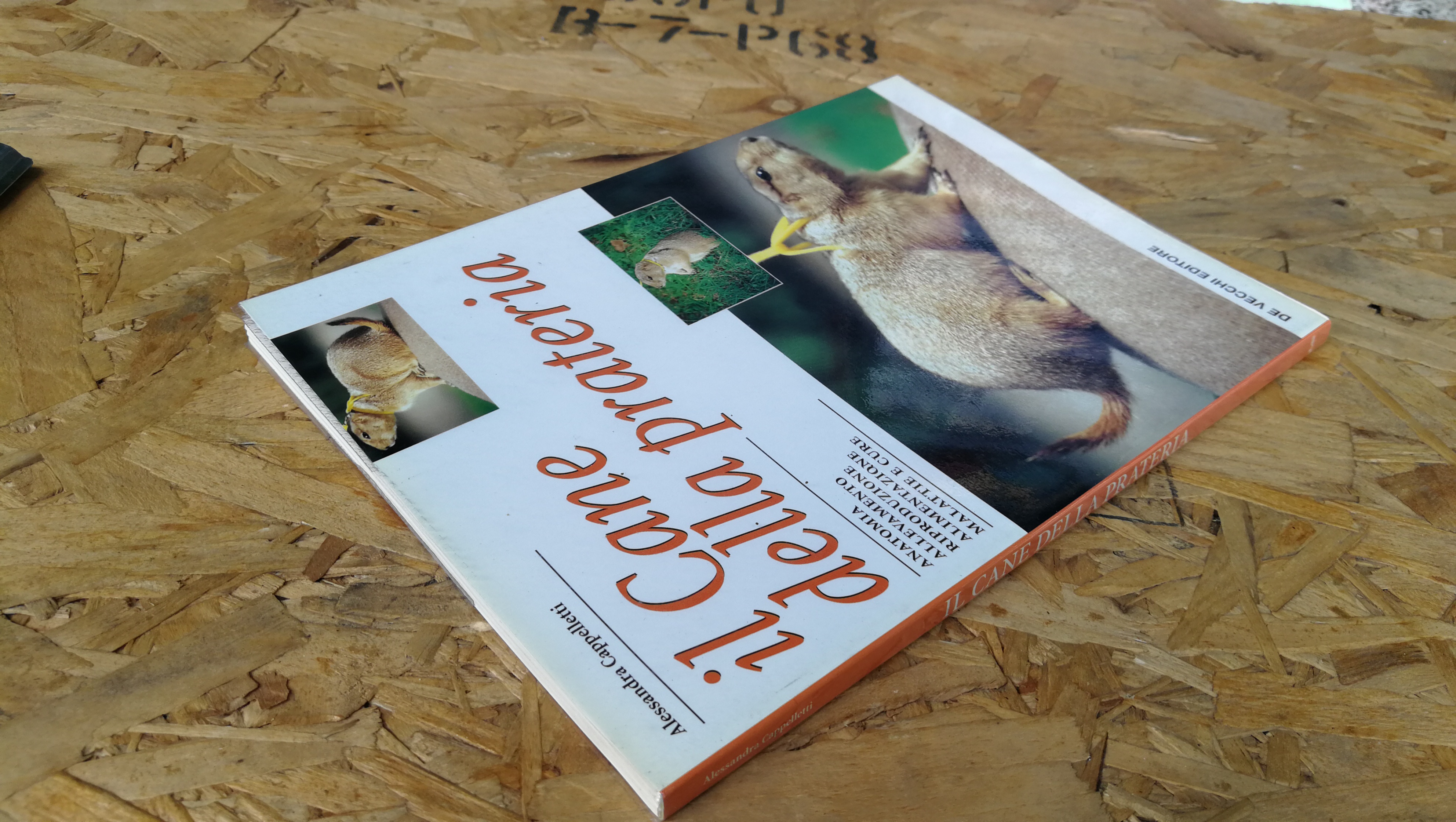 IL CANE DELLA PRATERIA