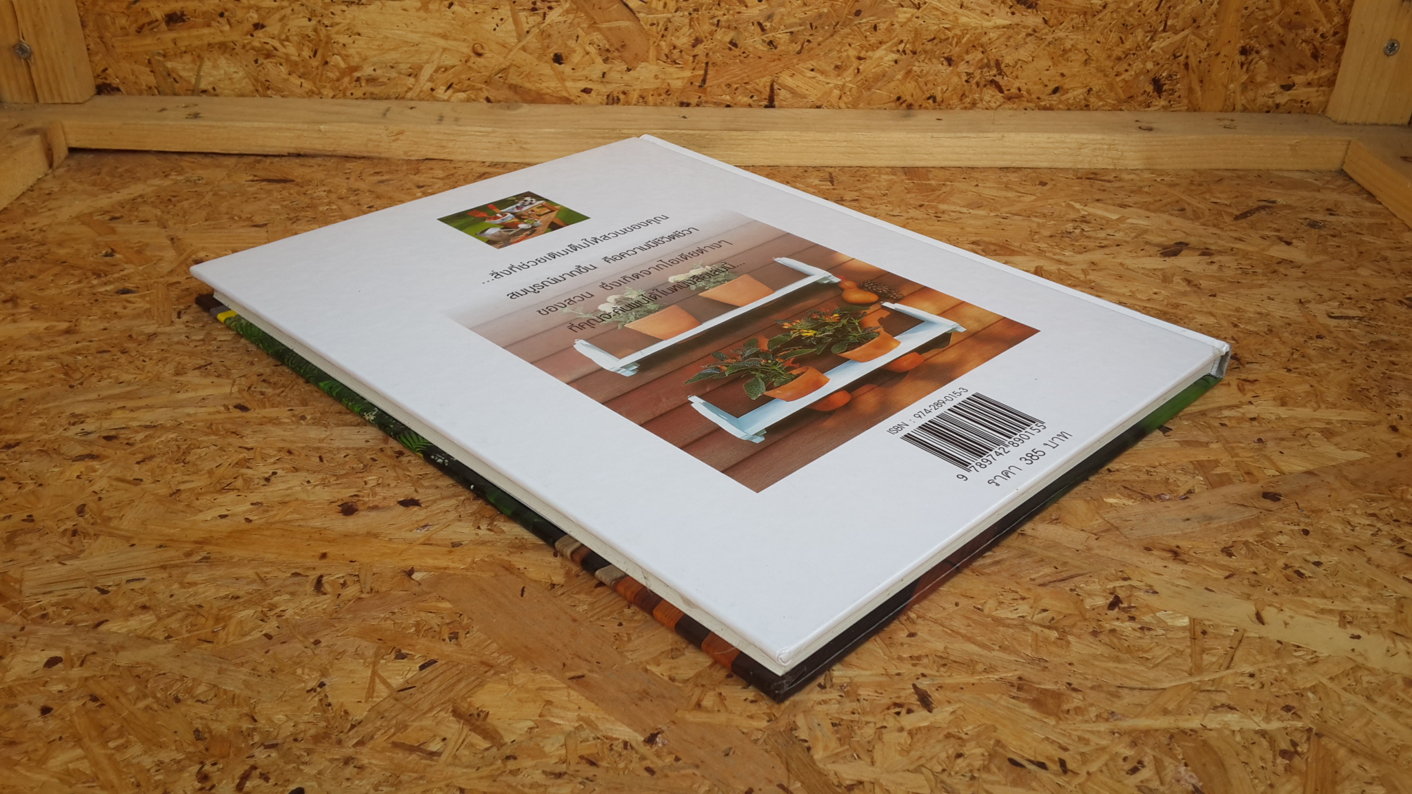 สวนในบ้านเล่ม 11 : ไอเดียในสวน 2