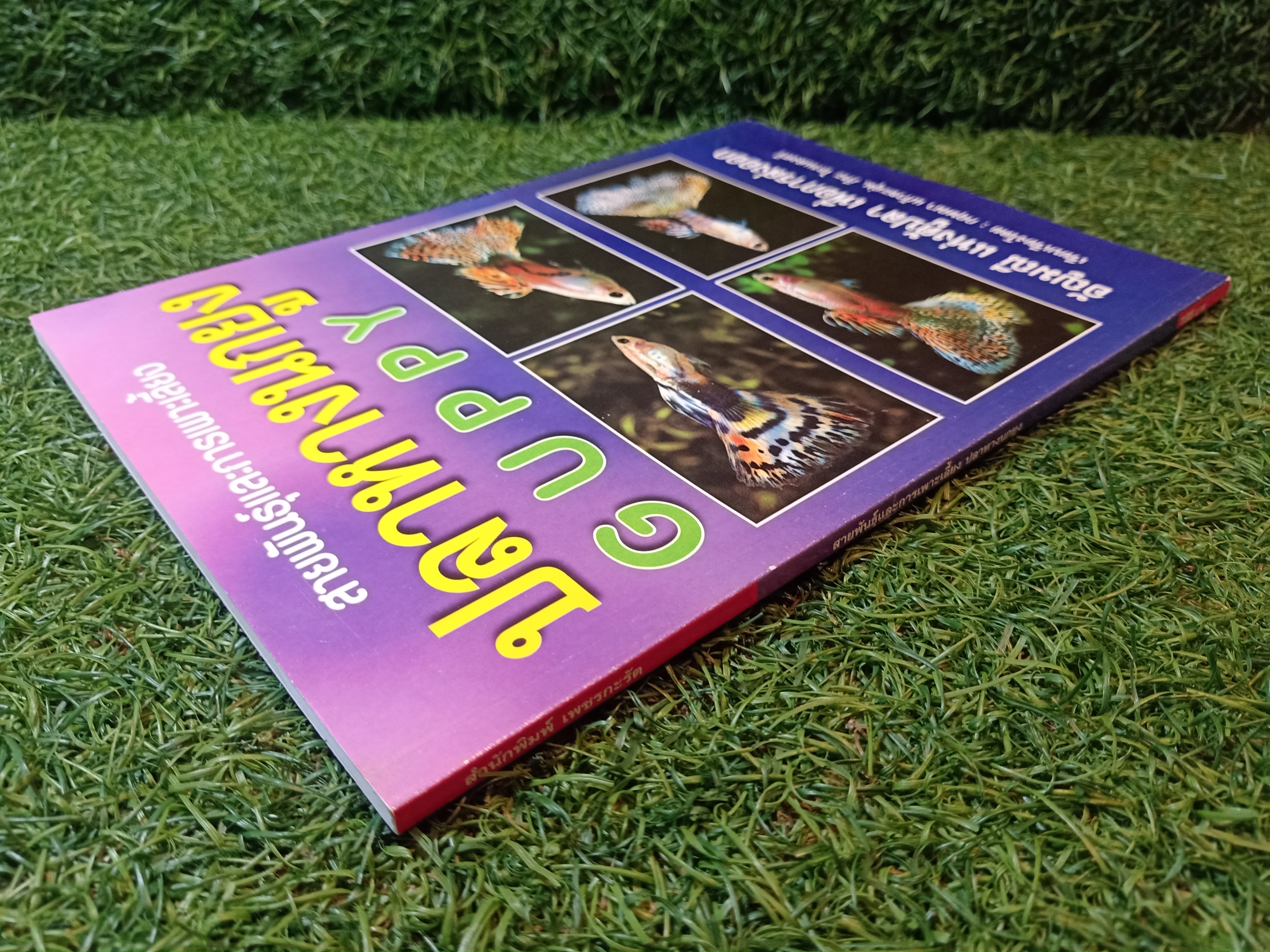 สายพันธุืและการเพาะเลี้ยง ปลาหางนกยูง GUPPY / กฤษณา แก้วชะอุ่ม ภีระ ไกรแสงศรี