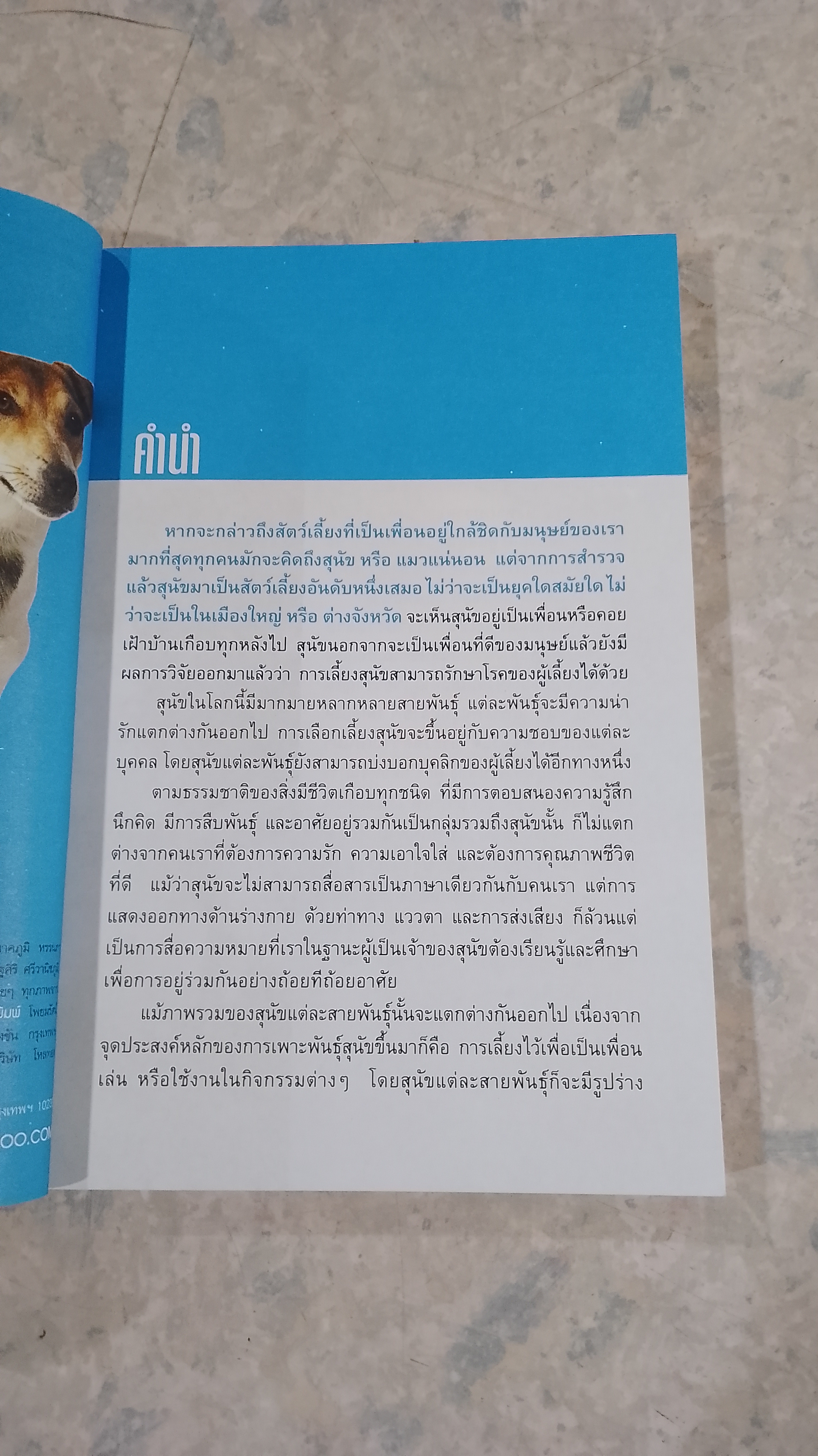 DOG IN THAILAND VOLUME 2 / ทวีศักดิ์