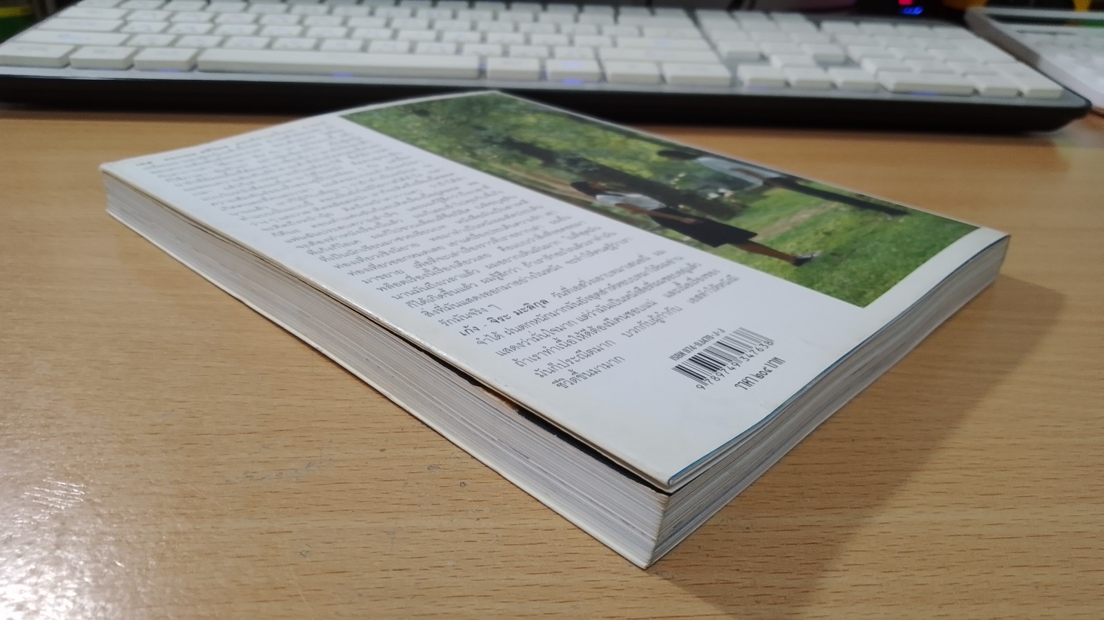 กล่องไปรษณีย์สีแดง / อภิชาติ เพชรลีลา