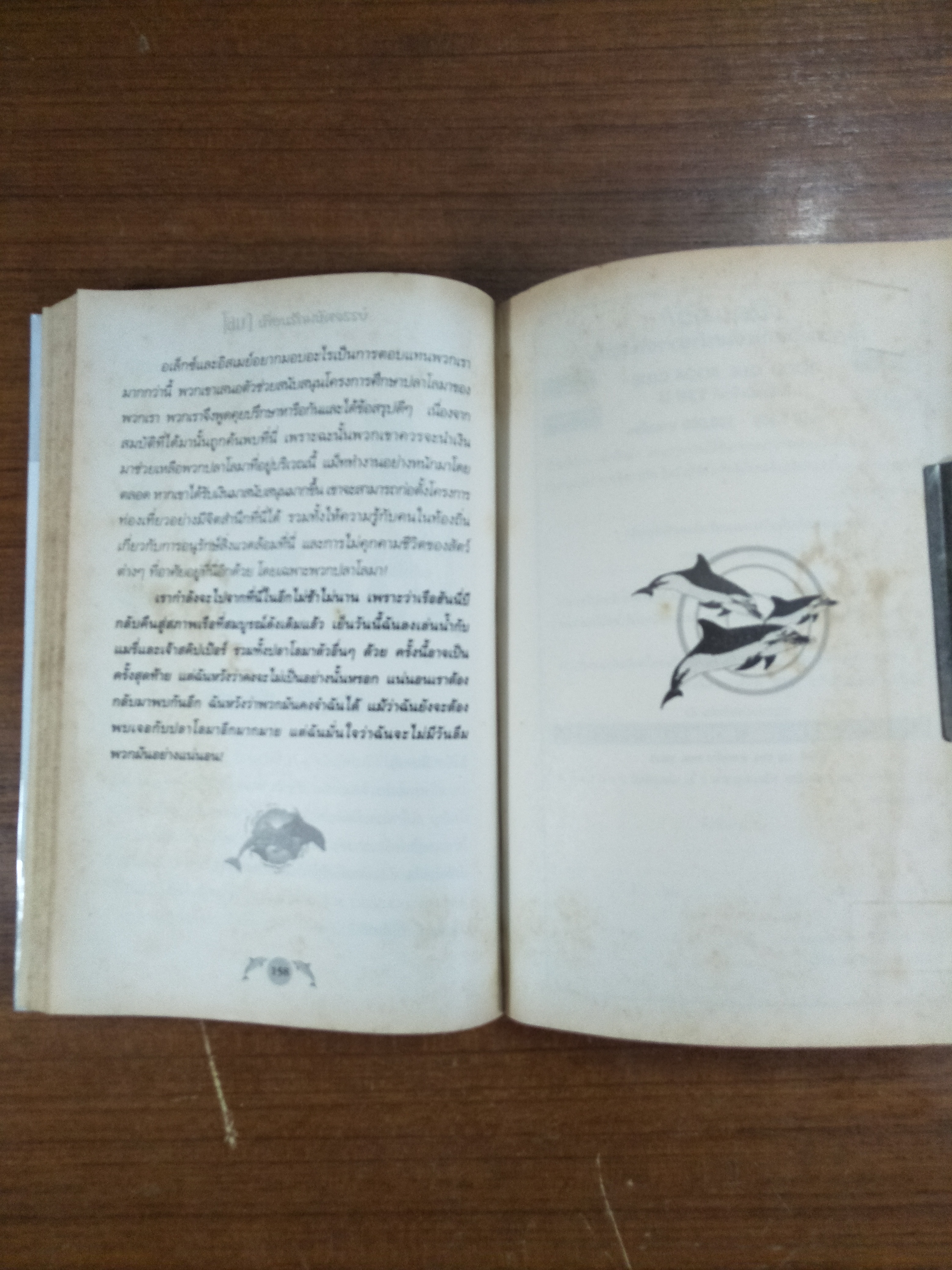 โลมา เพื่อนรักมหัศจรรย์ / ลูซี่ แดเนี่ยล เขียน / อักษรวิทย์ แปลและเรียบเรียง (หนังสือสภาพตามรูปถ่าย)
