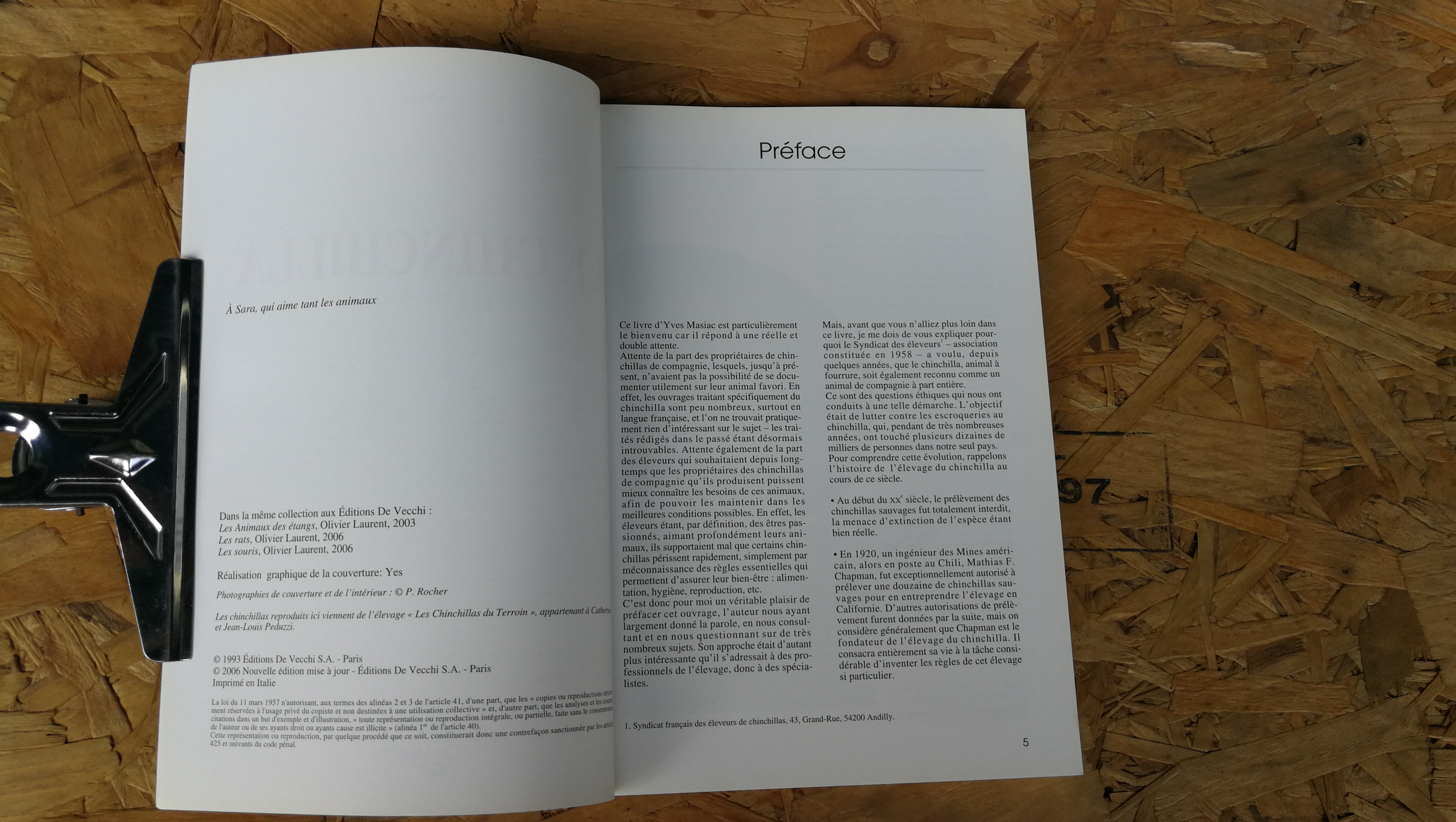 LE CHINCHILLA / Yves Masiac