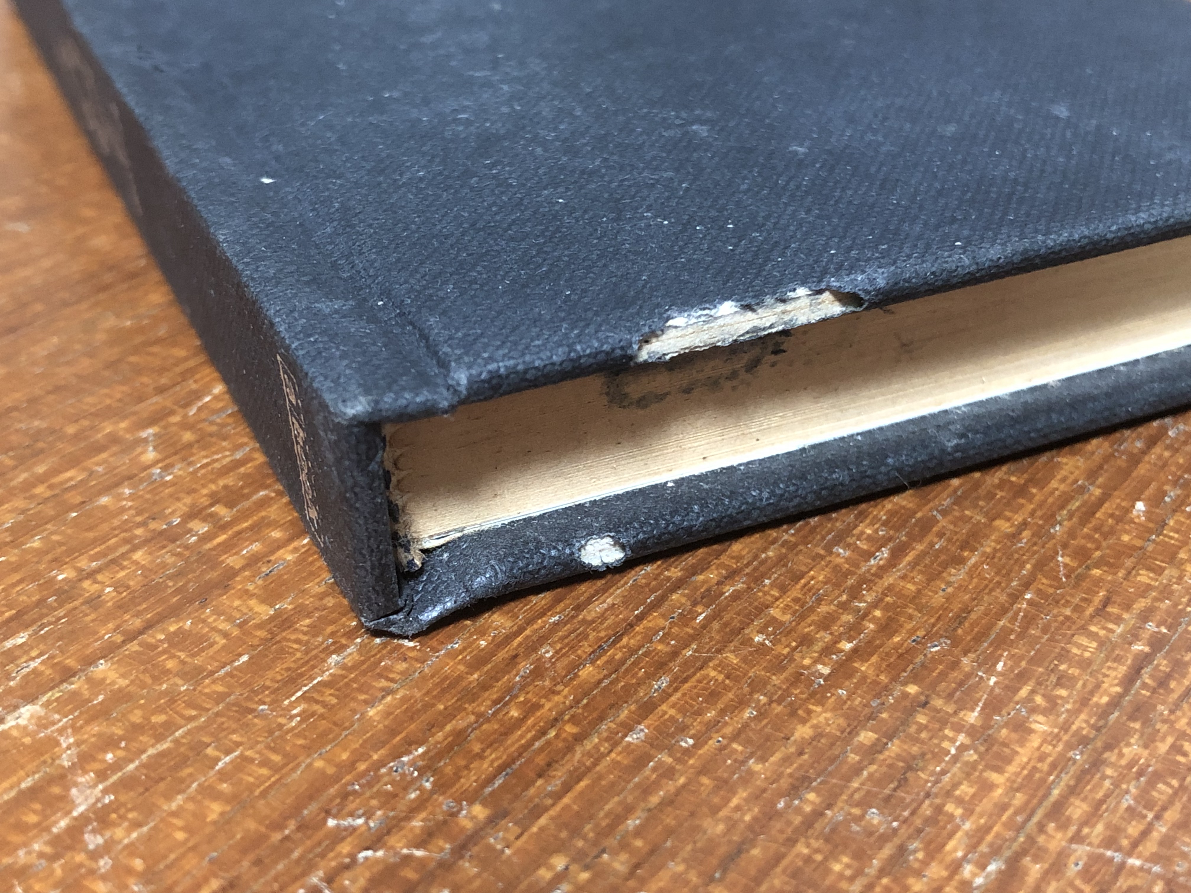 TRY / วงศ์ทนง ชัยณรงค์สิงห์