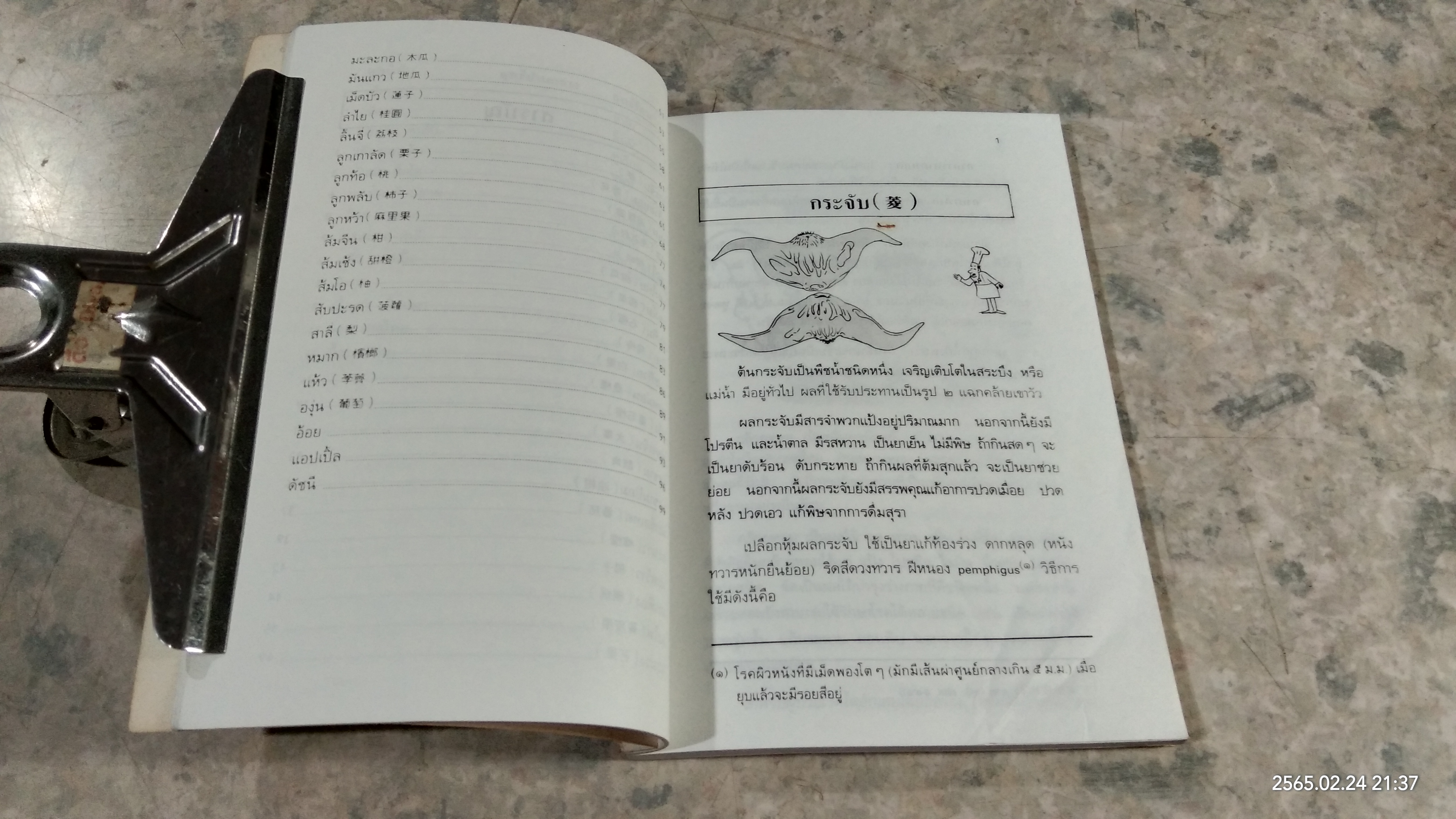 ผลไม้ อาหารก็เป็นยาได้ / วีรชัย มาศฉมาดล แปล