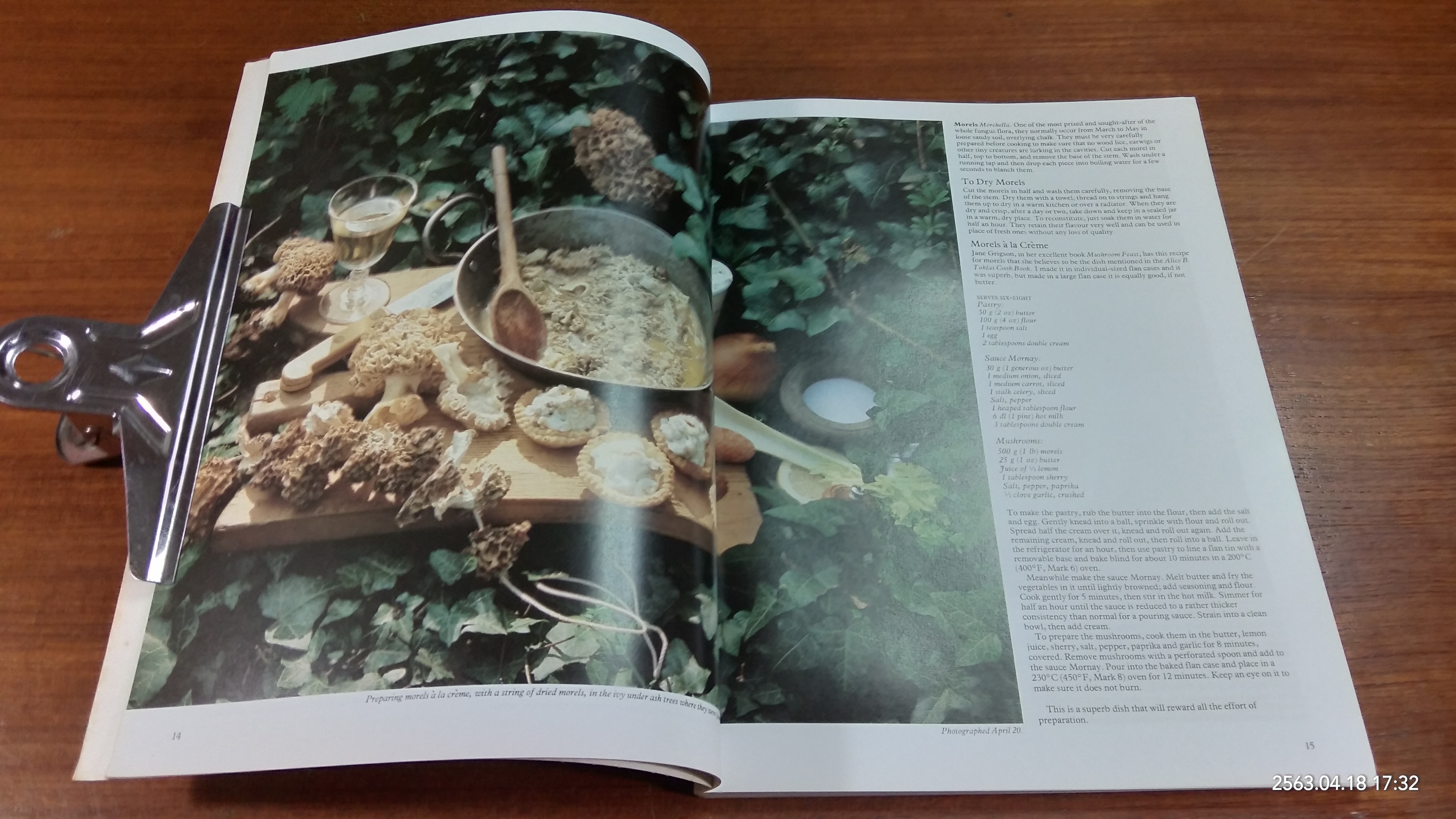 Wild Food / ROGER PHILLPS