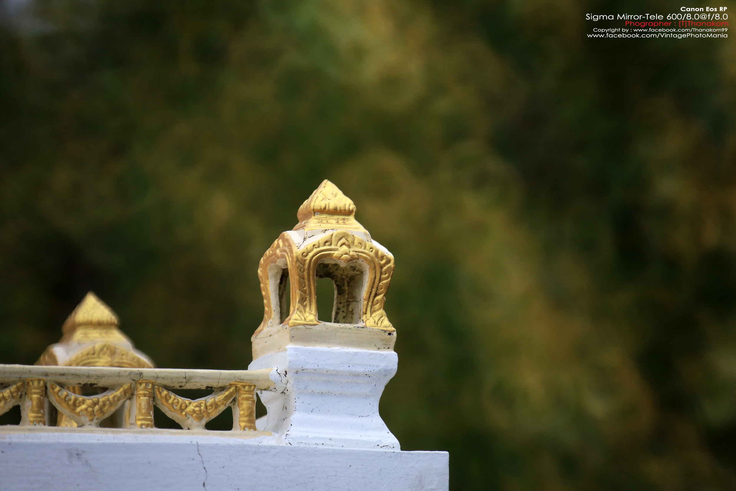 Sigma MC 600/8.0 Mirror Reflex *Canon EF Mount เลนส์ถ่ายไกลสุดๆโบเก้โดนัท