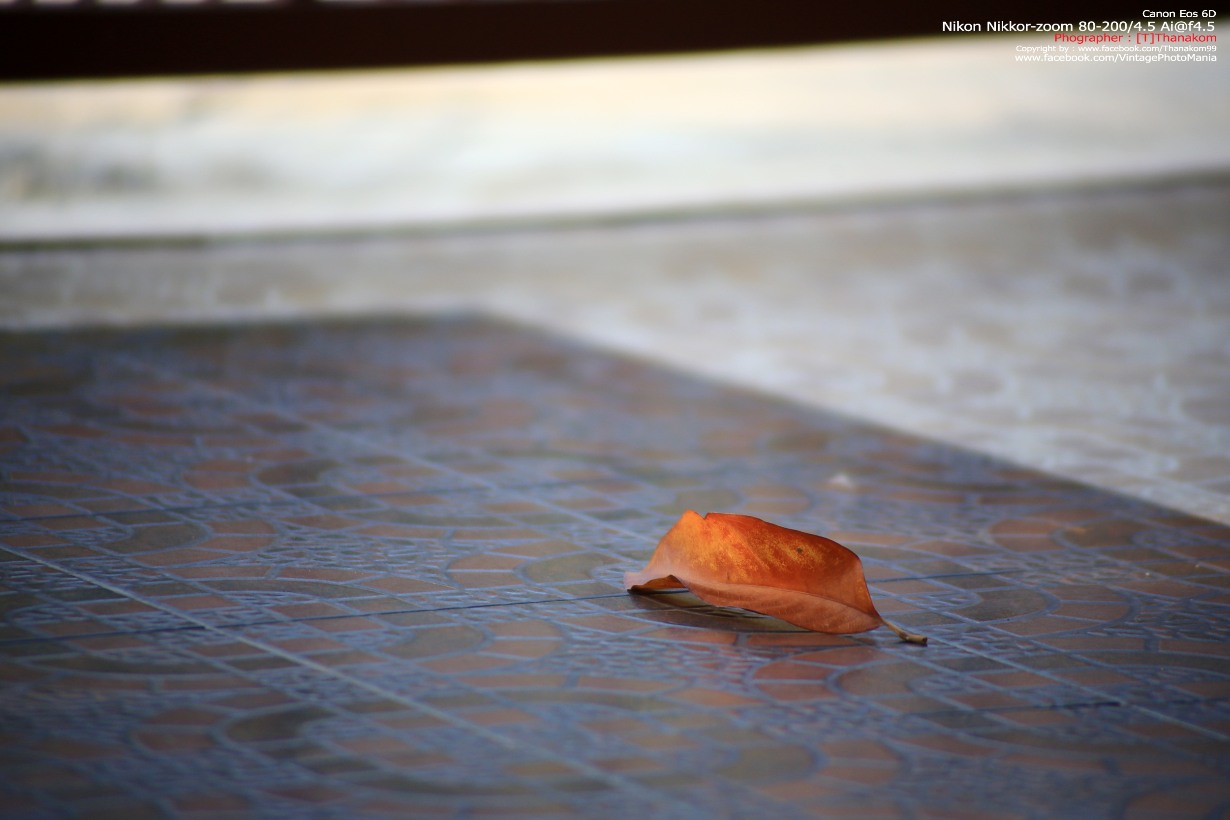 Nikon Zoom-Nikkor.C 80-200/4.5 *Nikon Ai-S Mount