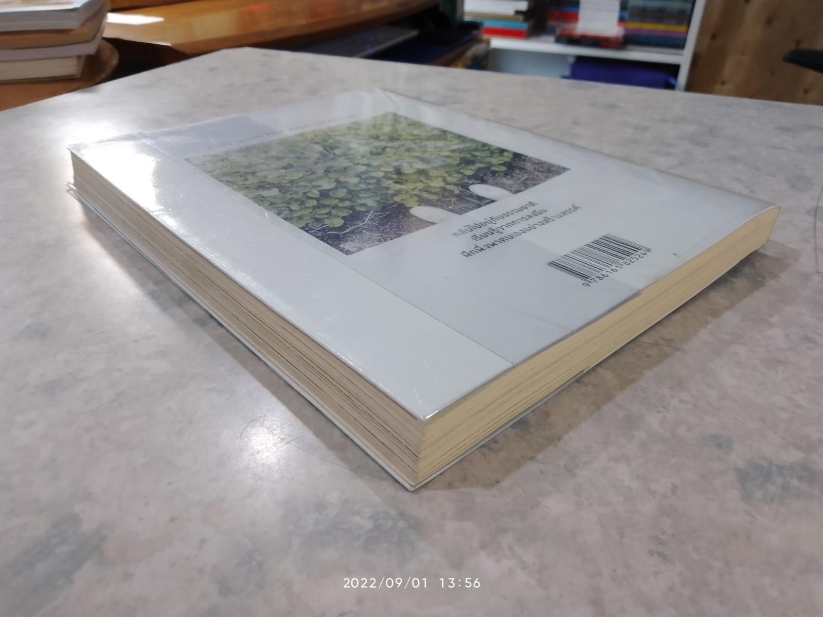 จงทำสวนของเรา / ภัทรพร อภิชิต