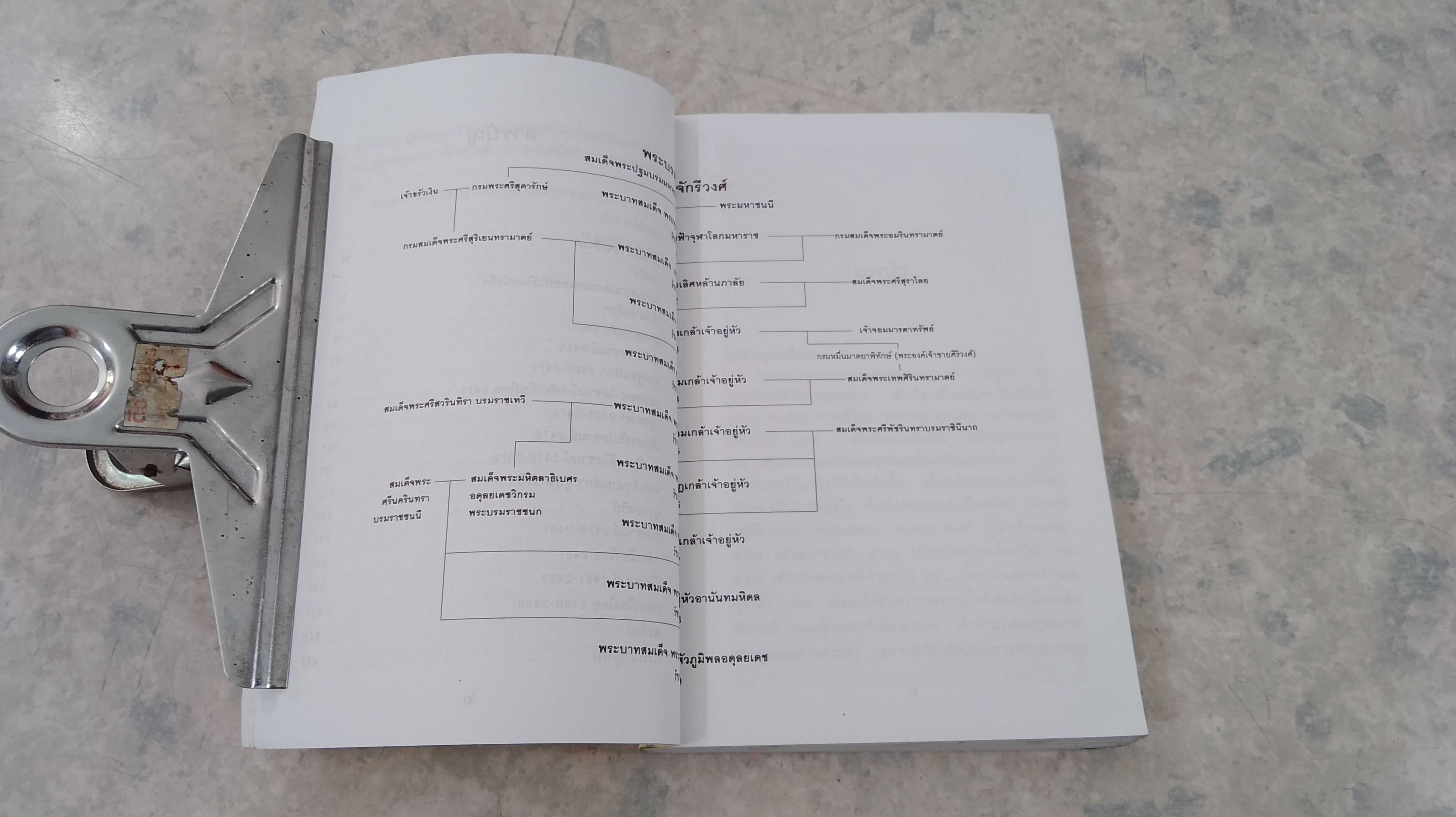 เจ้านายเล็กๆ - ยุวกษัตริย์ / กัลยาณิวัฒนา