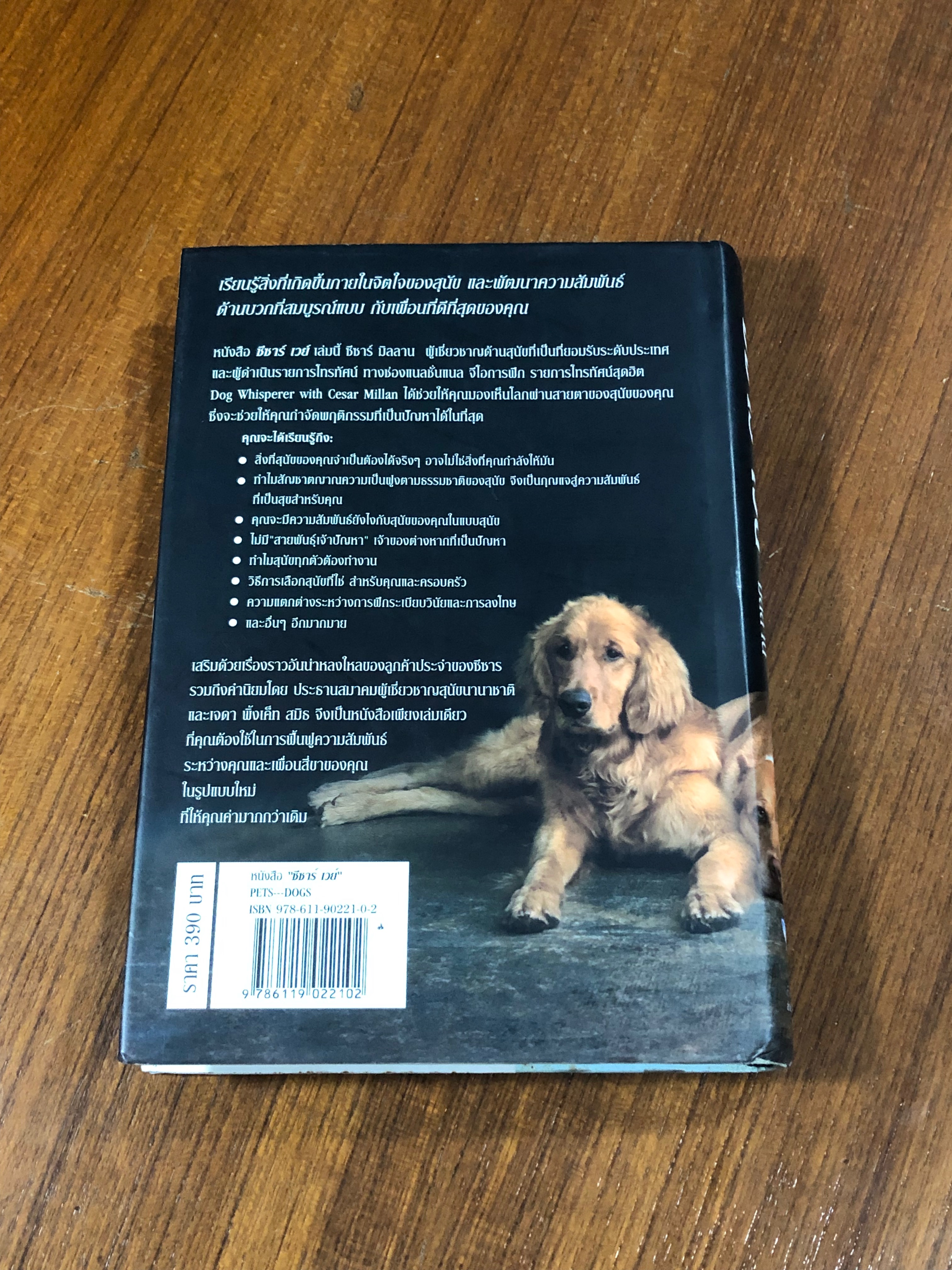 ซีซาร์ เวย์ / ซีซาร์ มิลลาน