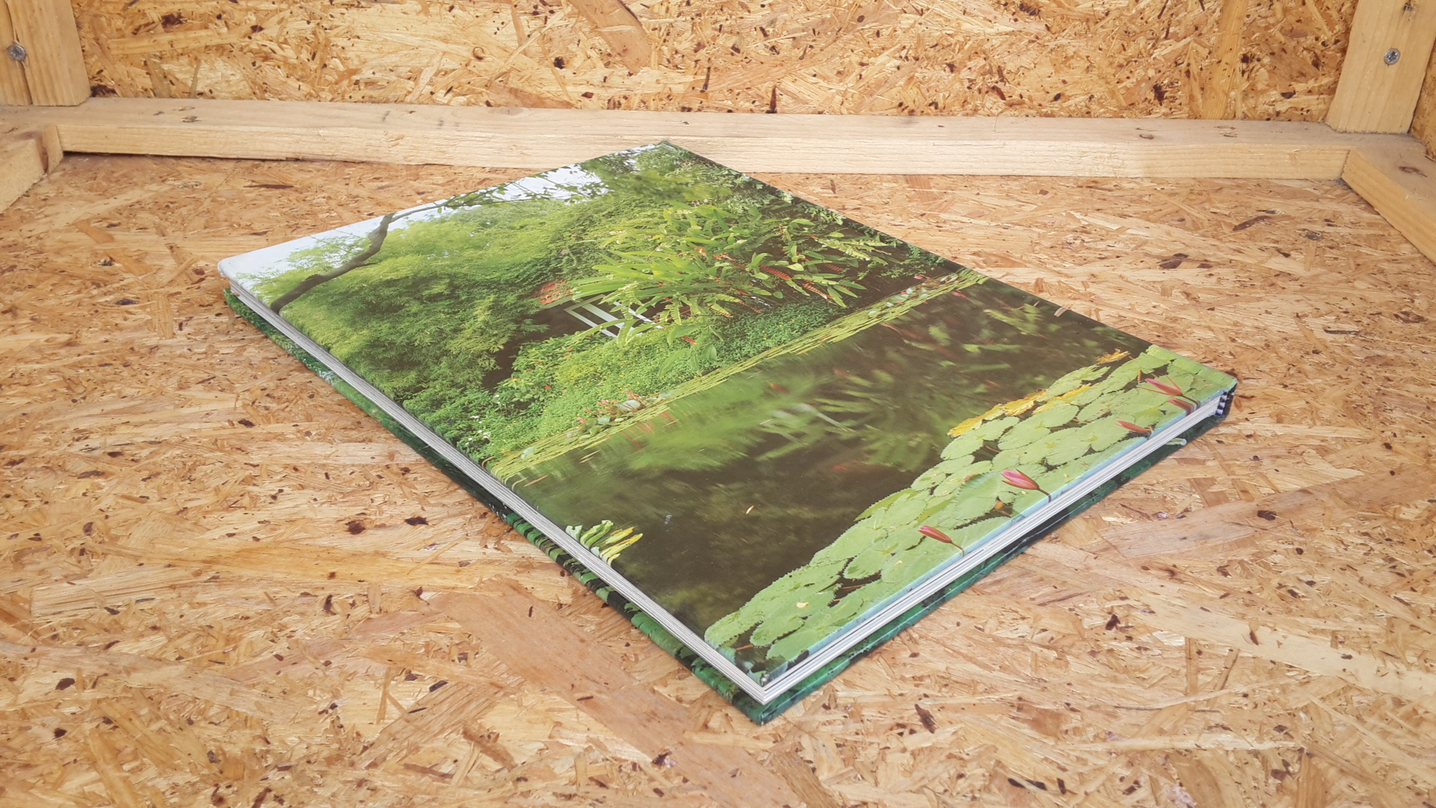 สวนในบ้าน : สวนน้ำ 1