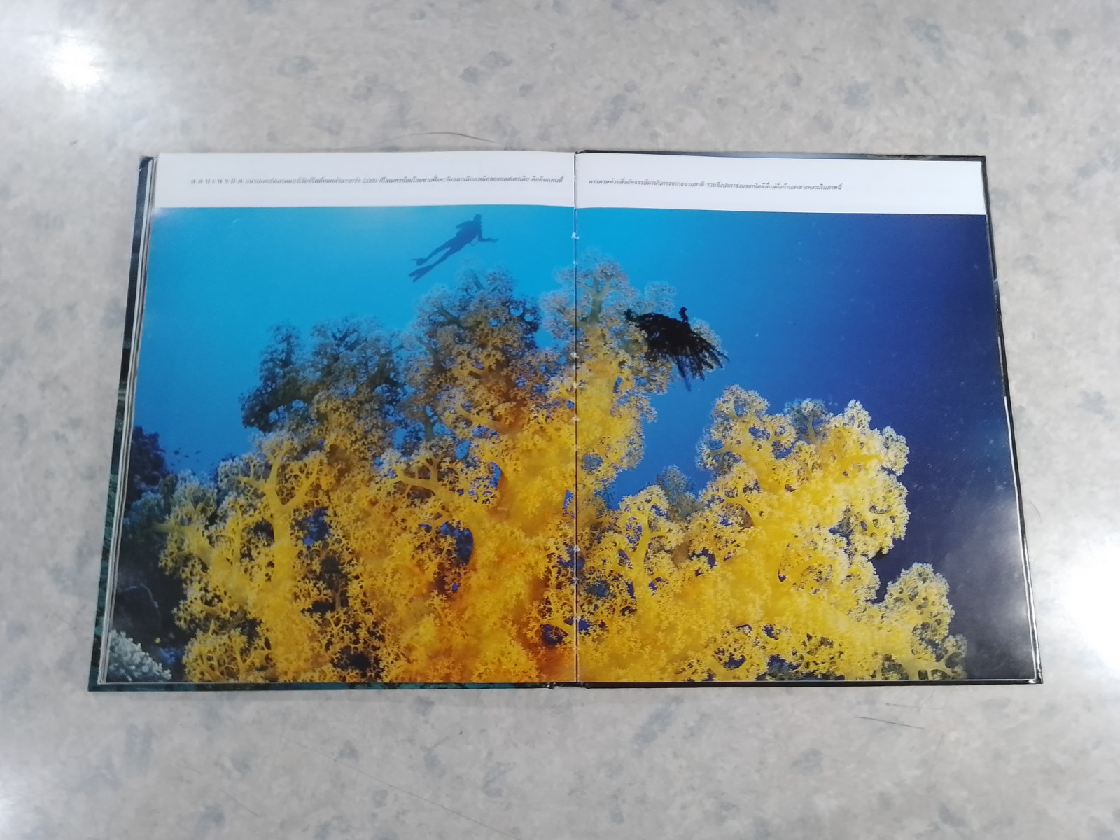 NATIONAL GEOGRAPHIC : ท่องพิภพมหัศจรรย์