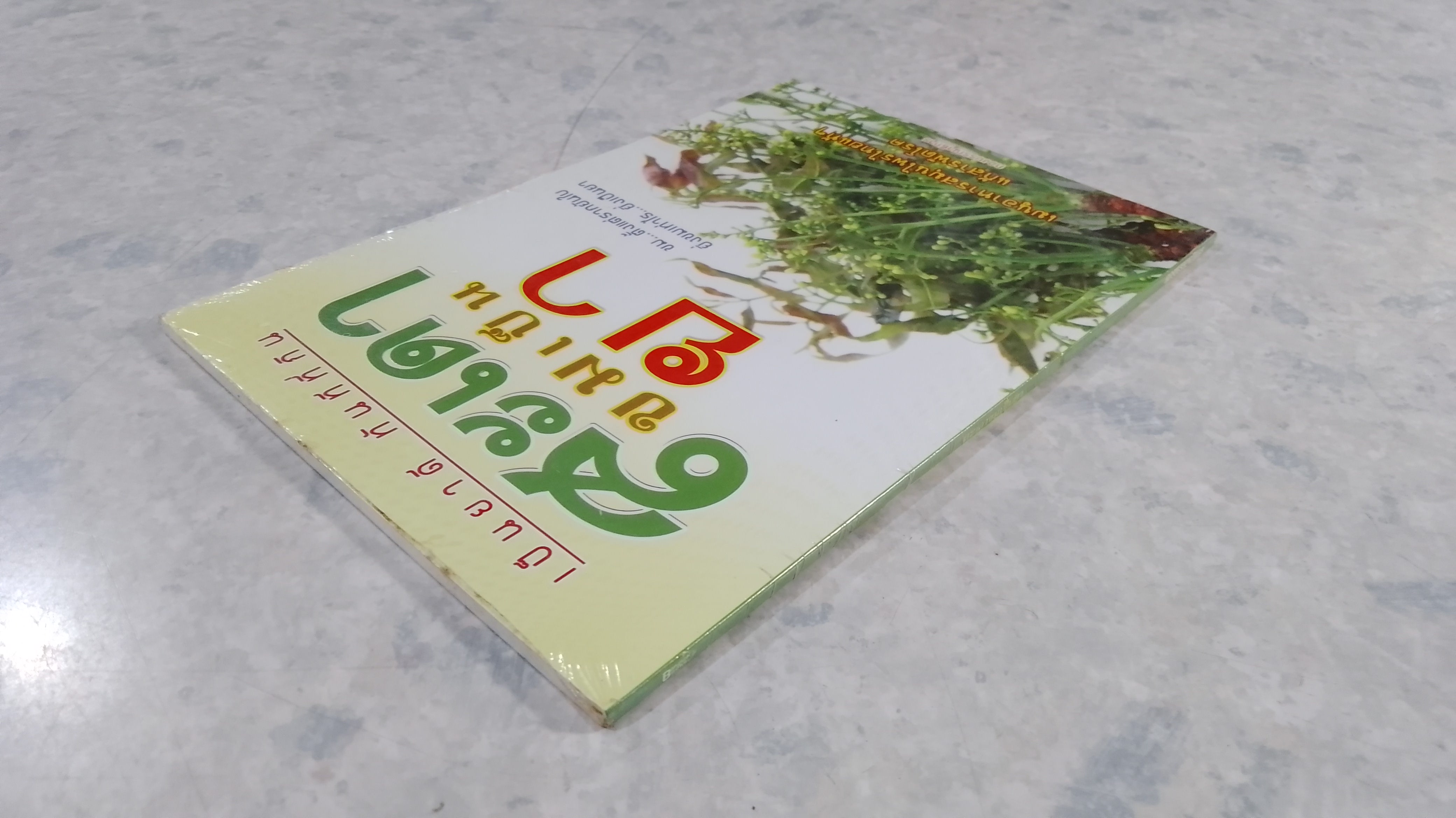 สะเดาขมเป็นยา