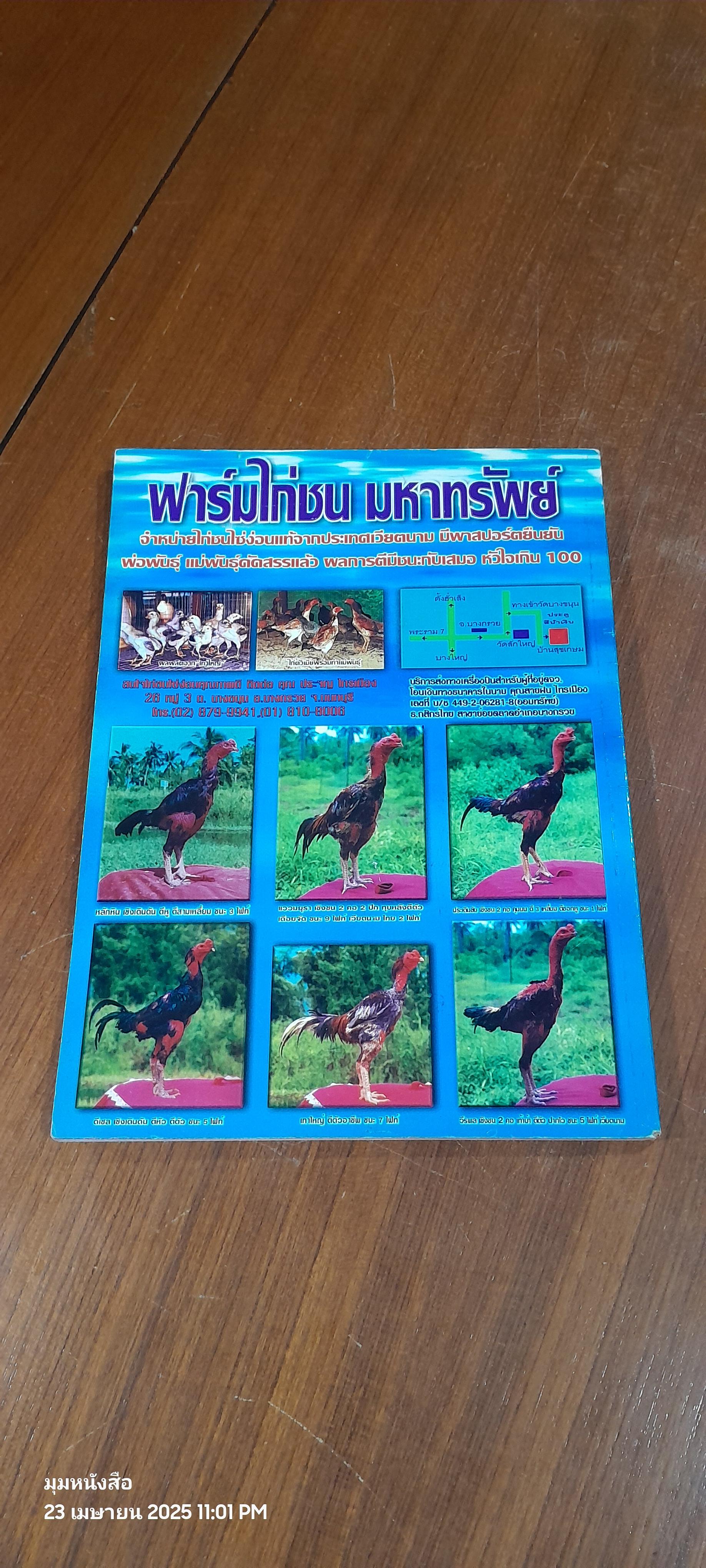 เซียนไก่ชน ฉบับพิเศษ ยอดมือน้ำ 2002 / อาจารย์ ประดิษฐ์ เชื้อสิงห์