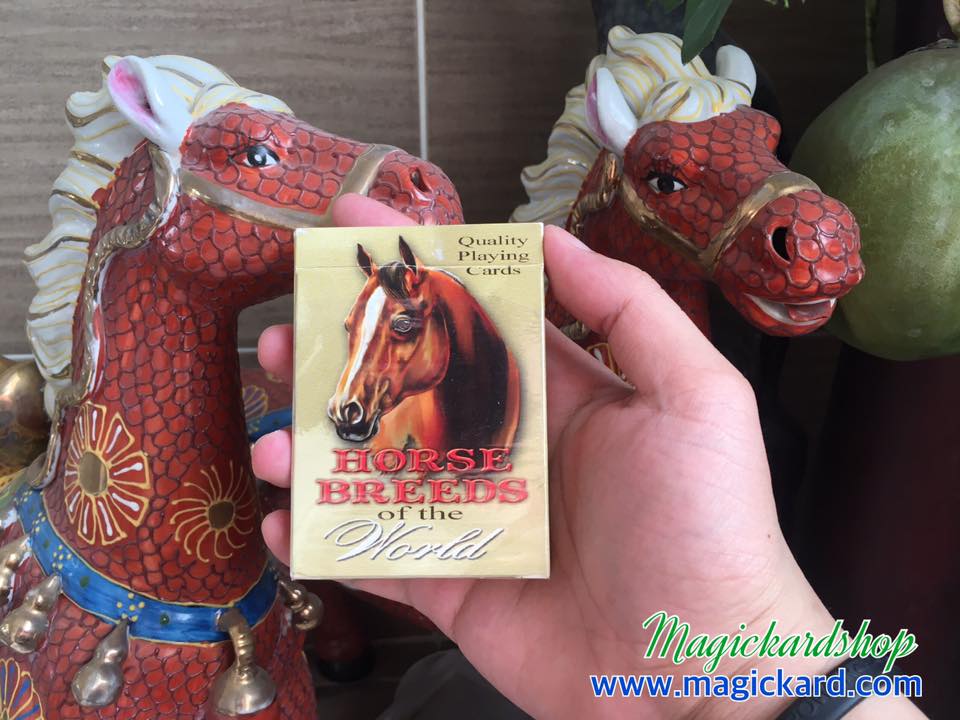 ไพ่ Horse Breed Playing Cards (ไพ่ลายม้า)