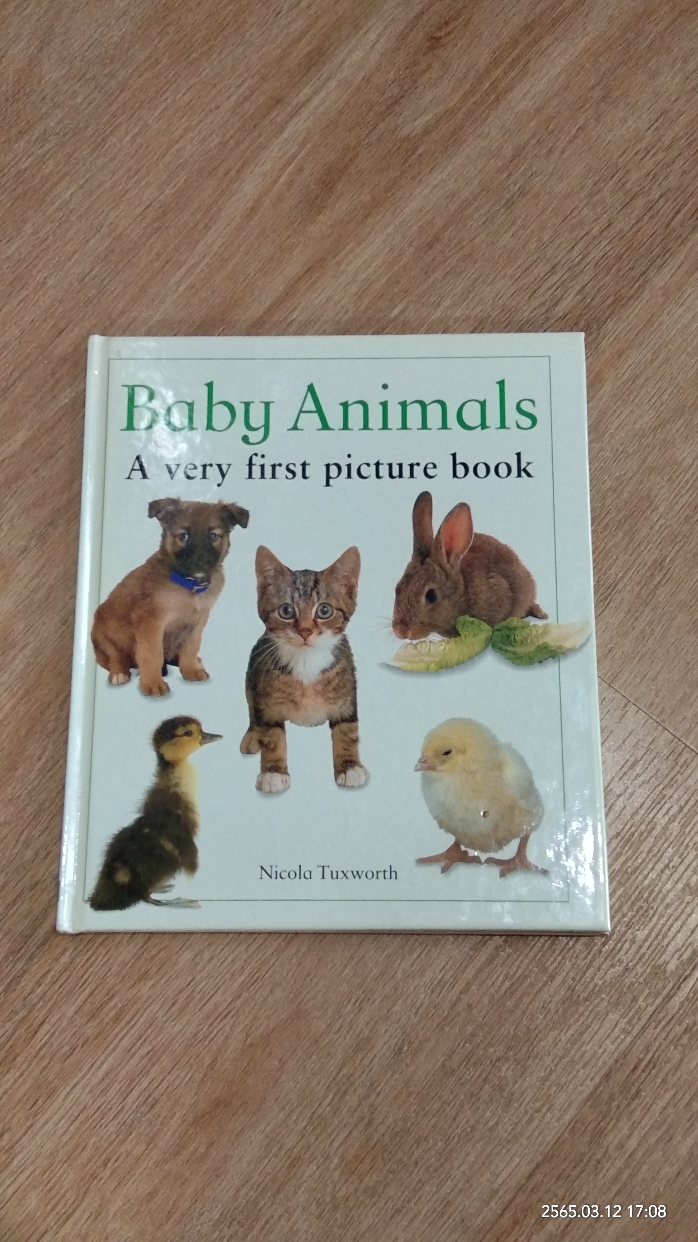 Baby Animals Avery first picture book