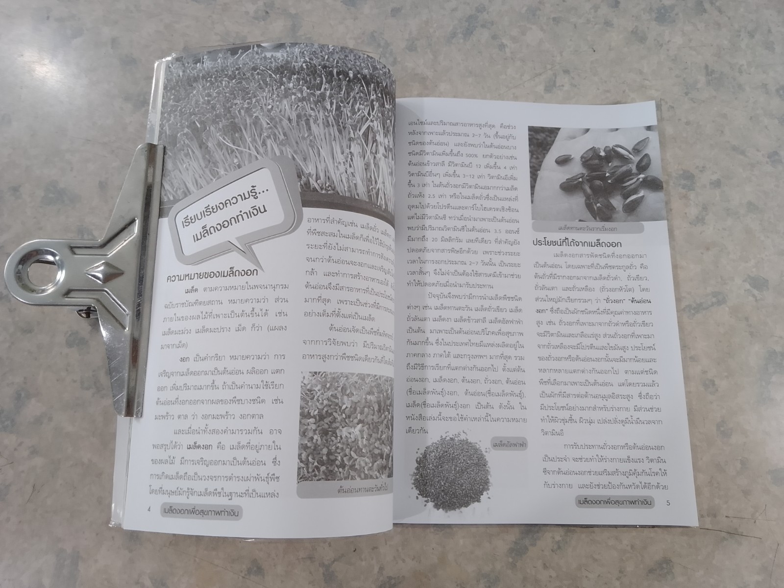 เมล็ดงอก เพื่อสุขภาพทำเงิน / อภิชาติ ศรีสอาด