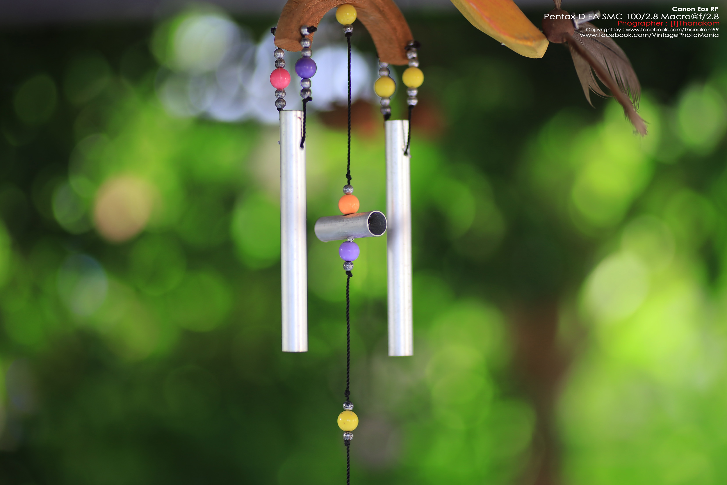 Pentax-D FA SMC 100/2.8 Macro *PK-AF Mount เลนส์มาโครตัวเล็กเบาคมๆ