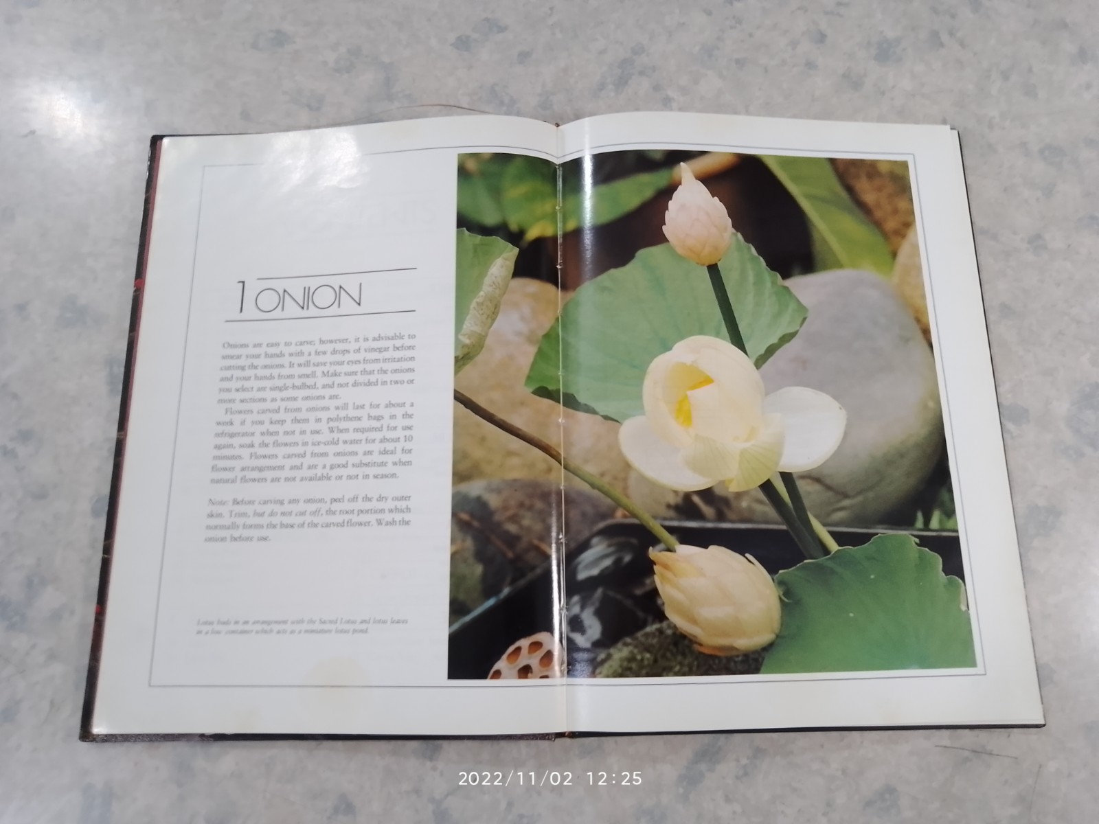 Fruit and Vegetable Caruing / Meera John Jacob