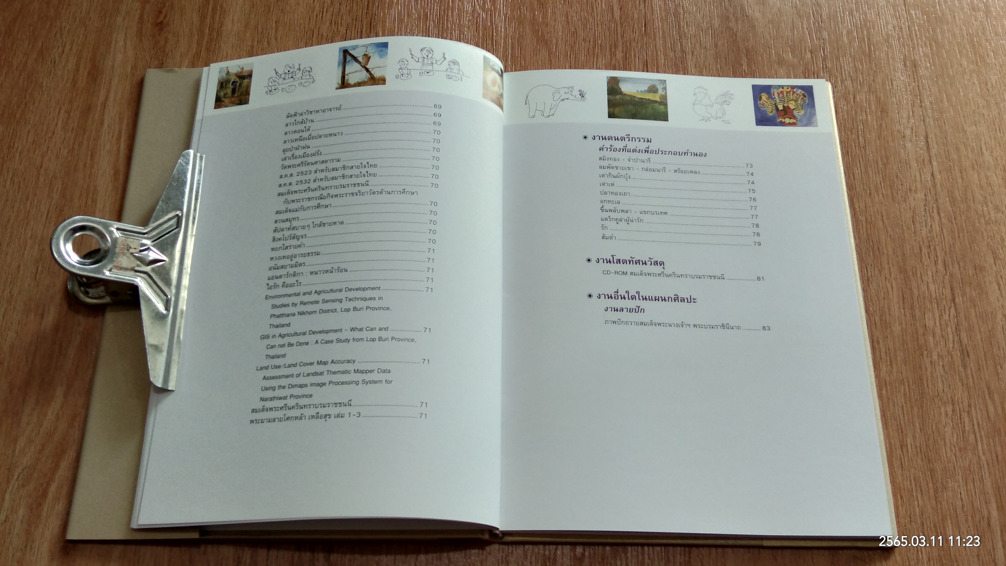 เทพรัตนวิศิษฏศิลป์ / สิรินธร