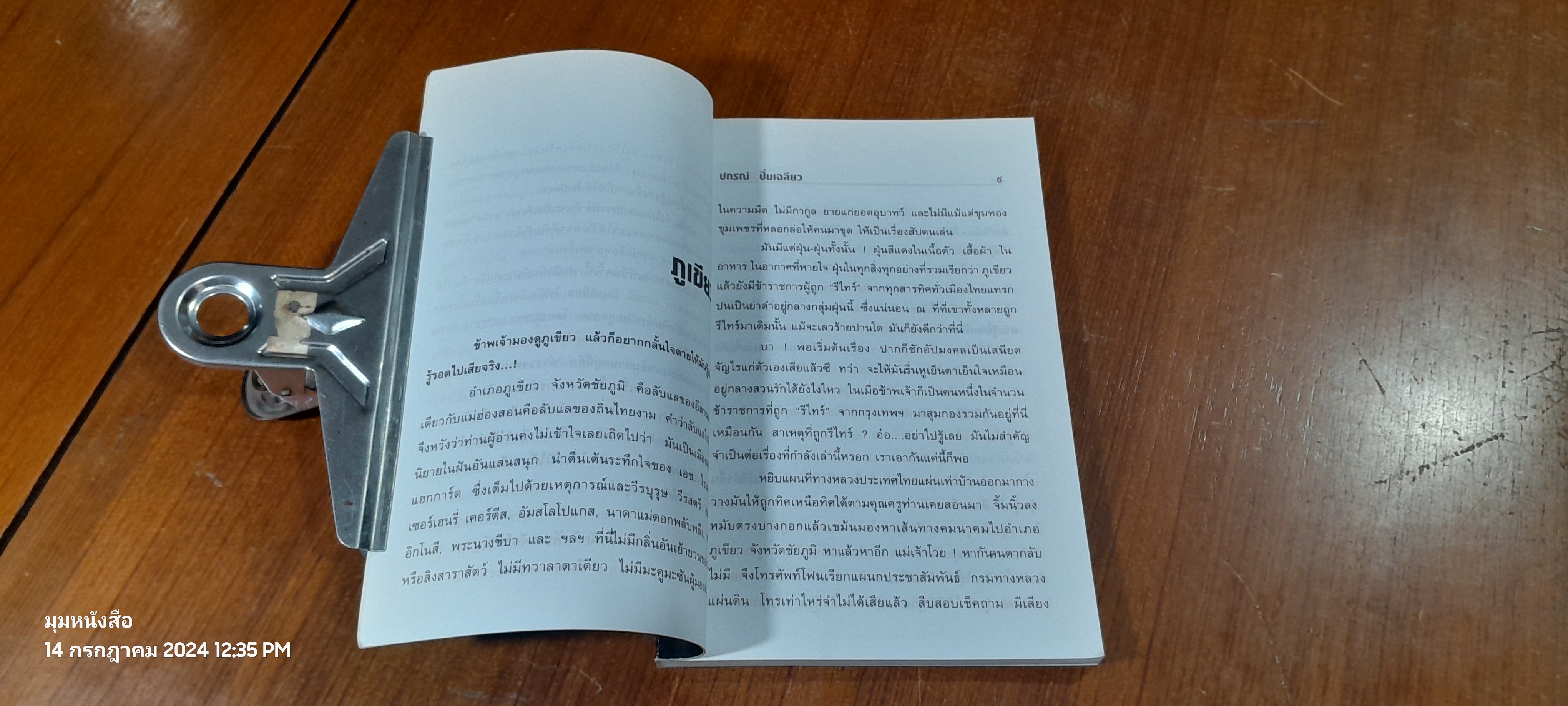 ตำรวจ พเนจร / ปกรณื ปิ่นเฉลียว