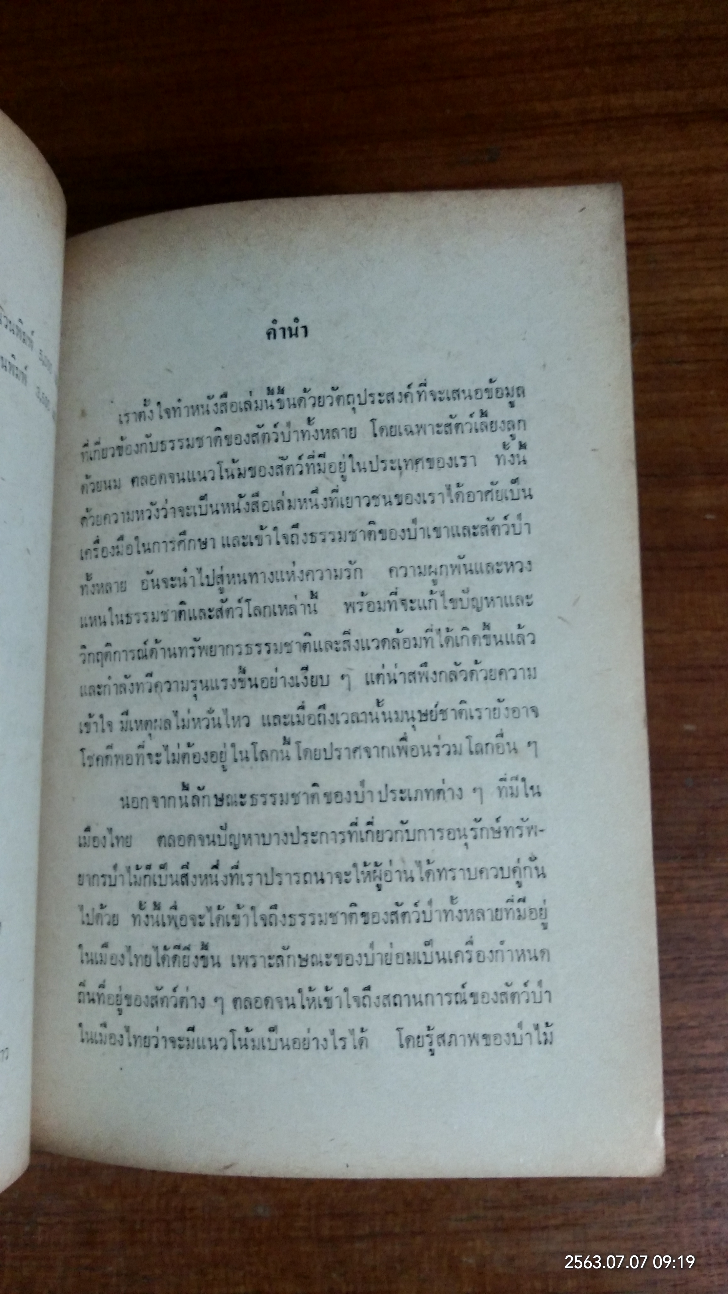 สัตว์สวยป่างาม