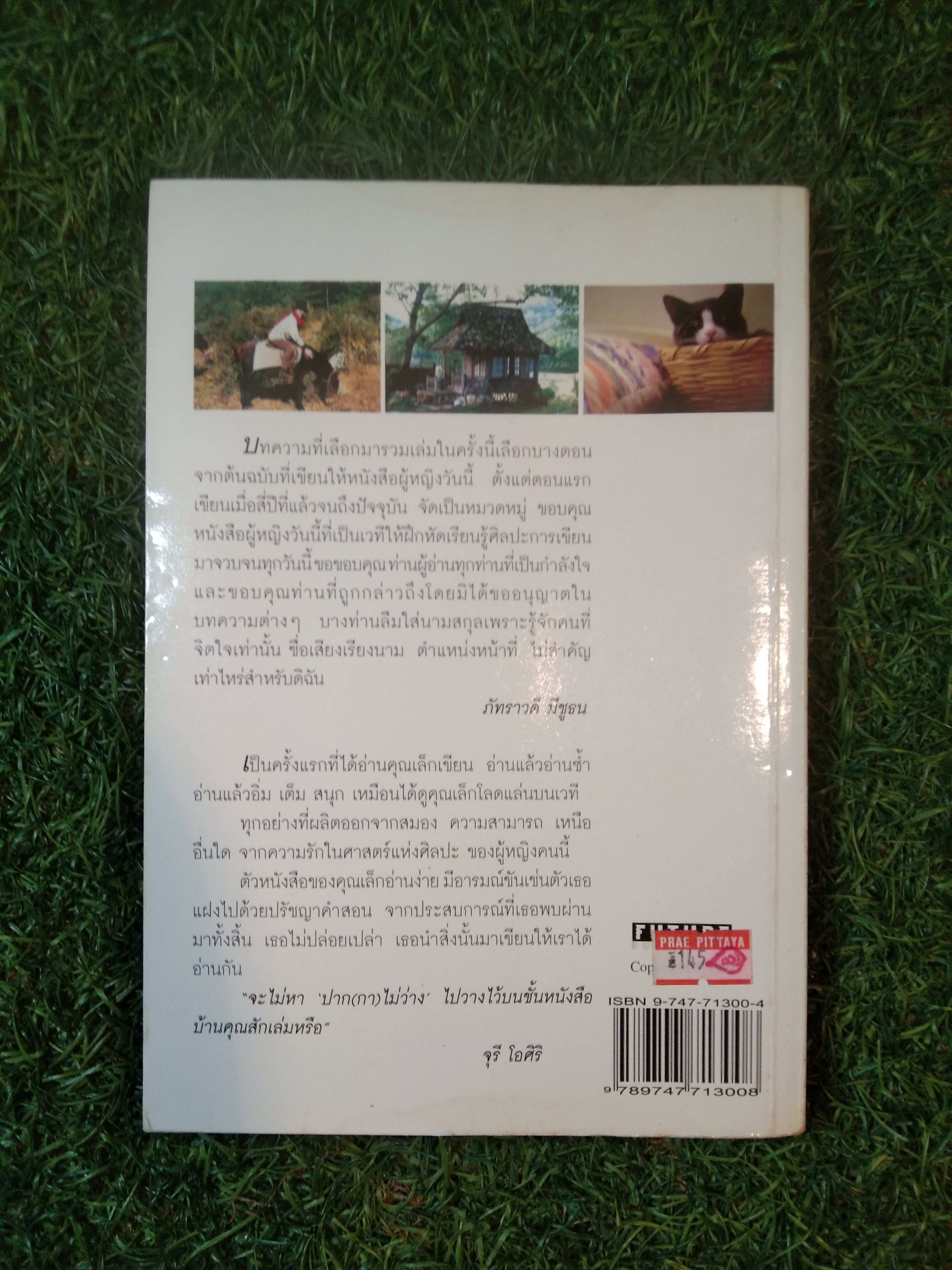 ปาก(กา)ไม่ว่าง / ภัทราวดี มีชูธน