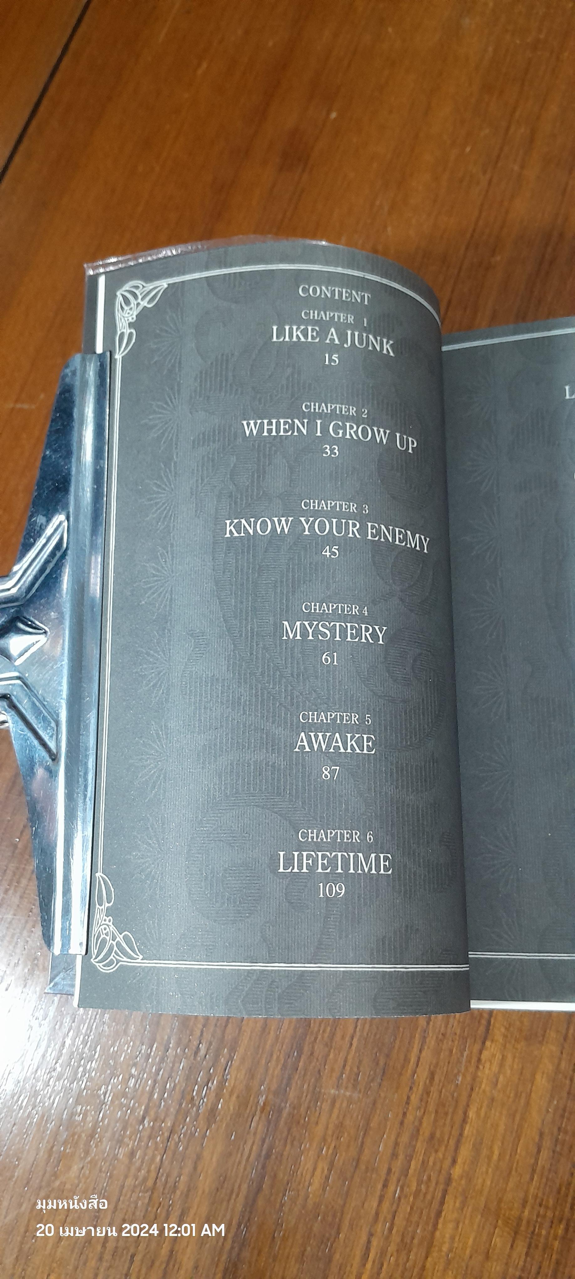 Beansprout & Firehead I In the Infinite Madness - ถั่วงอก และ หัวไฟ (เล่ม1) ในความบ้าคลั่งอันมิรู้สิ้นสุด / ทรงศีล ทิวสมบุญ