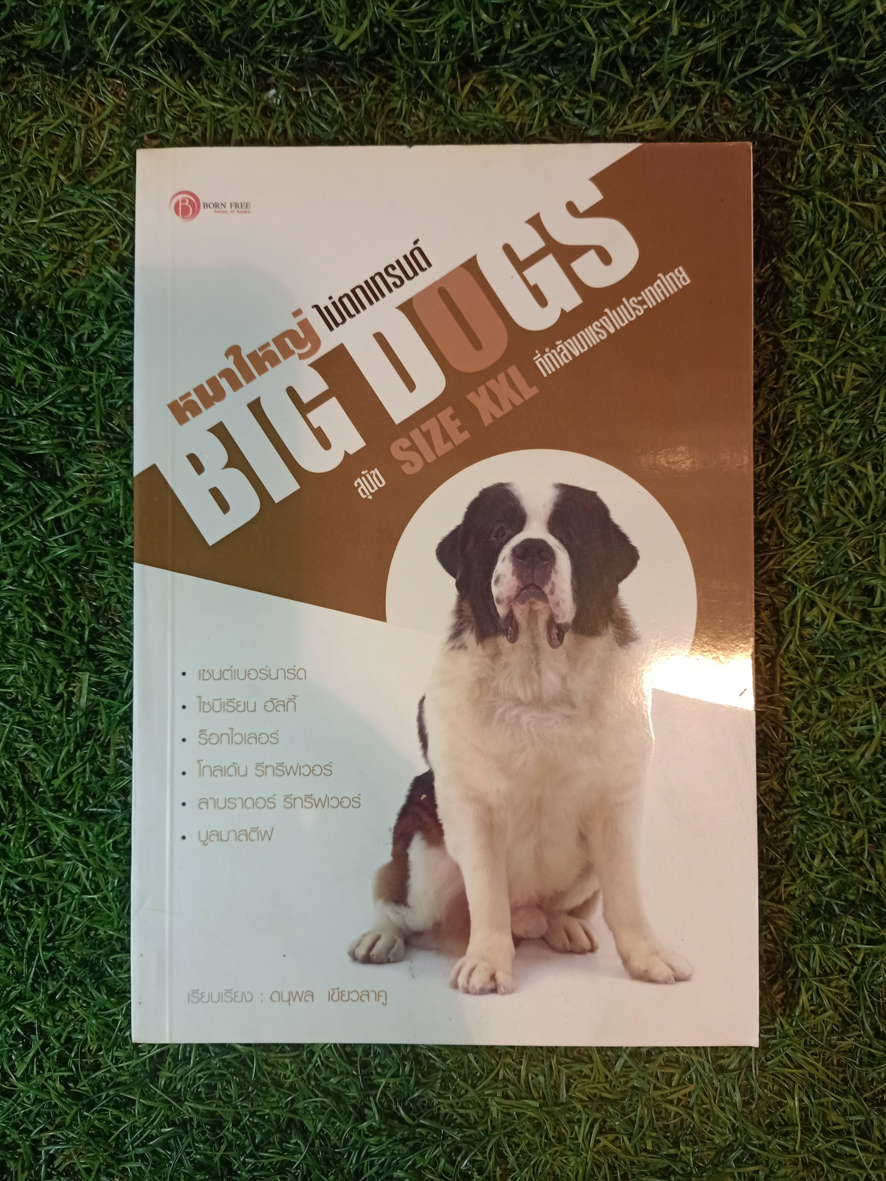 หมาใหญ่ไม่ตกเทรนด์ BIG DOGS สุนัข SIZE XXL ที่กำลังมาแรงในประเทศไทย / ดนุพล เขียวสาคู
