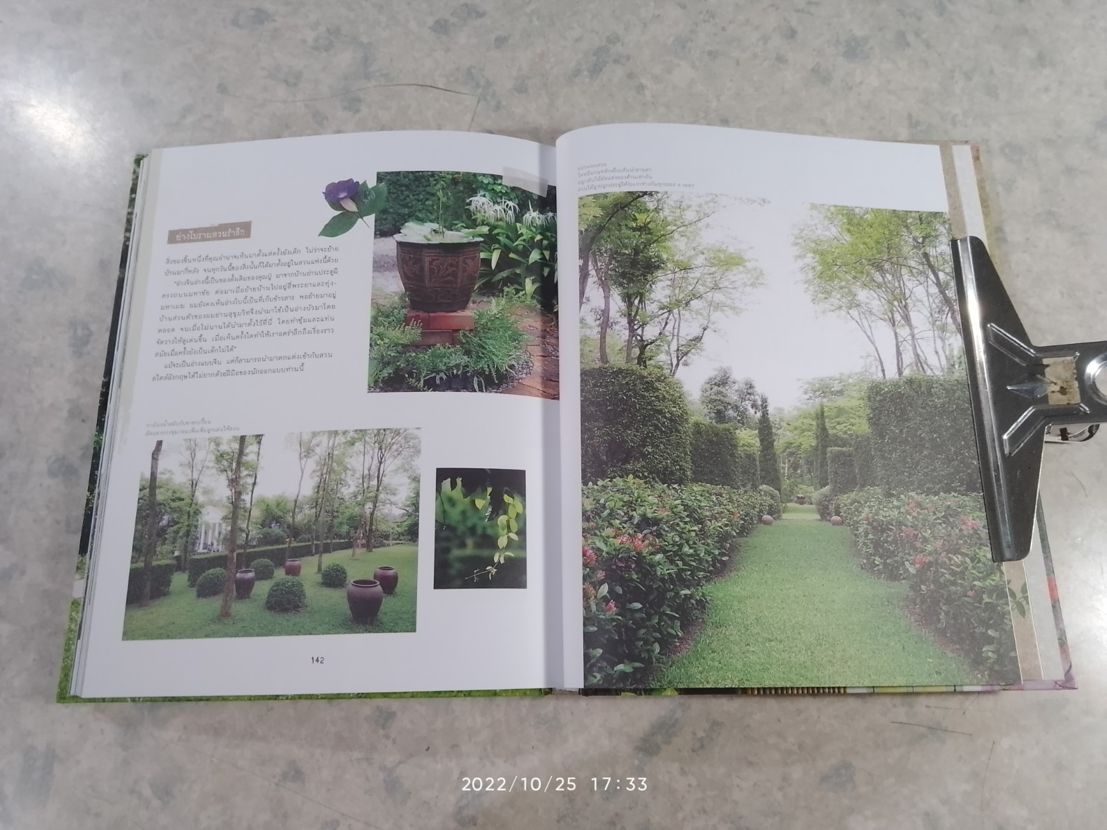 สวนแห่งความทรงจำ / บ้านและสวน