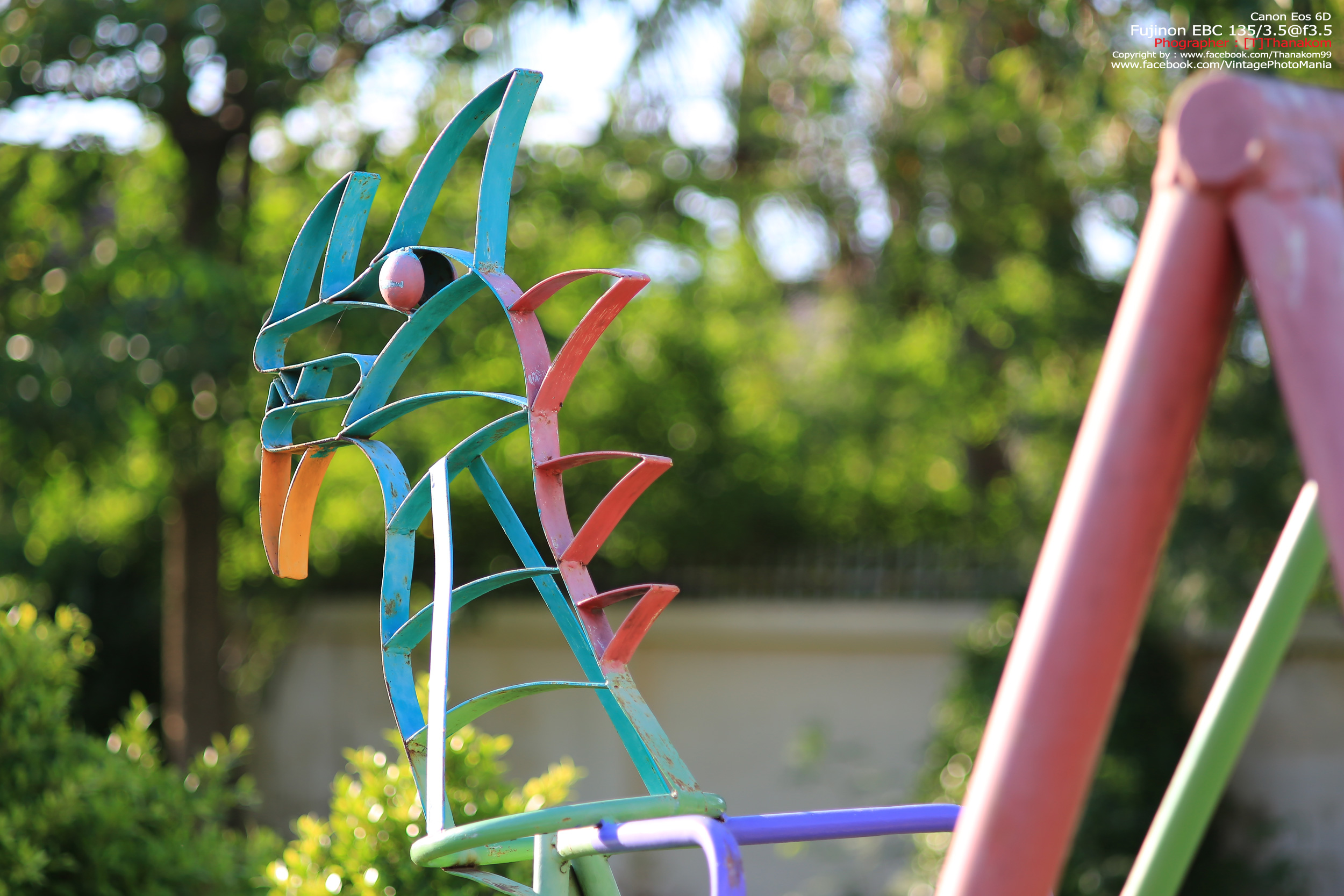 Fujinon EBC 135/3.5 *M42 Mount เลนส์พรอตเทรตตัวเล็กรุ่นหายากของมือหมุนฟูจิ