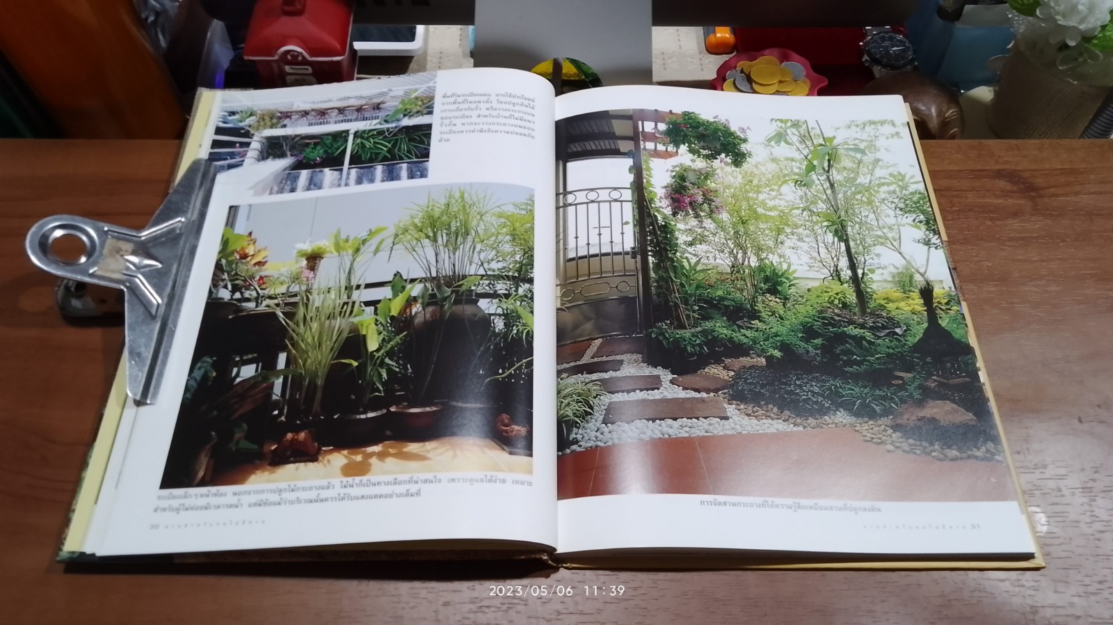 สวนสำหรับคนไม่มีสวน / บ้านและสวน