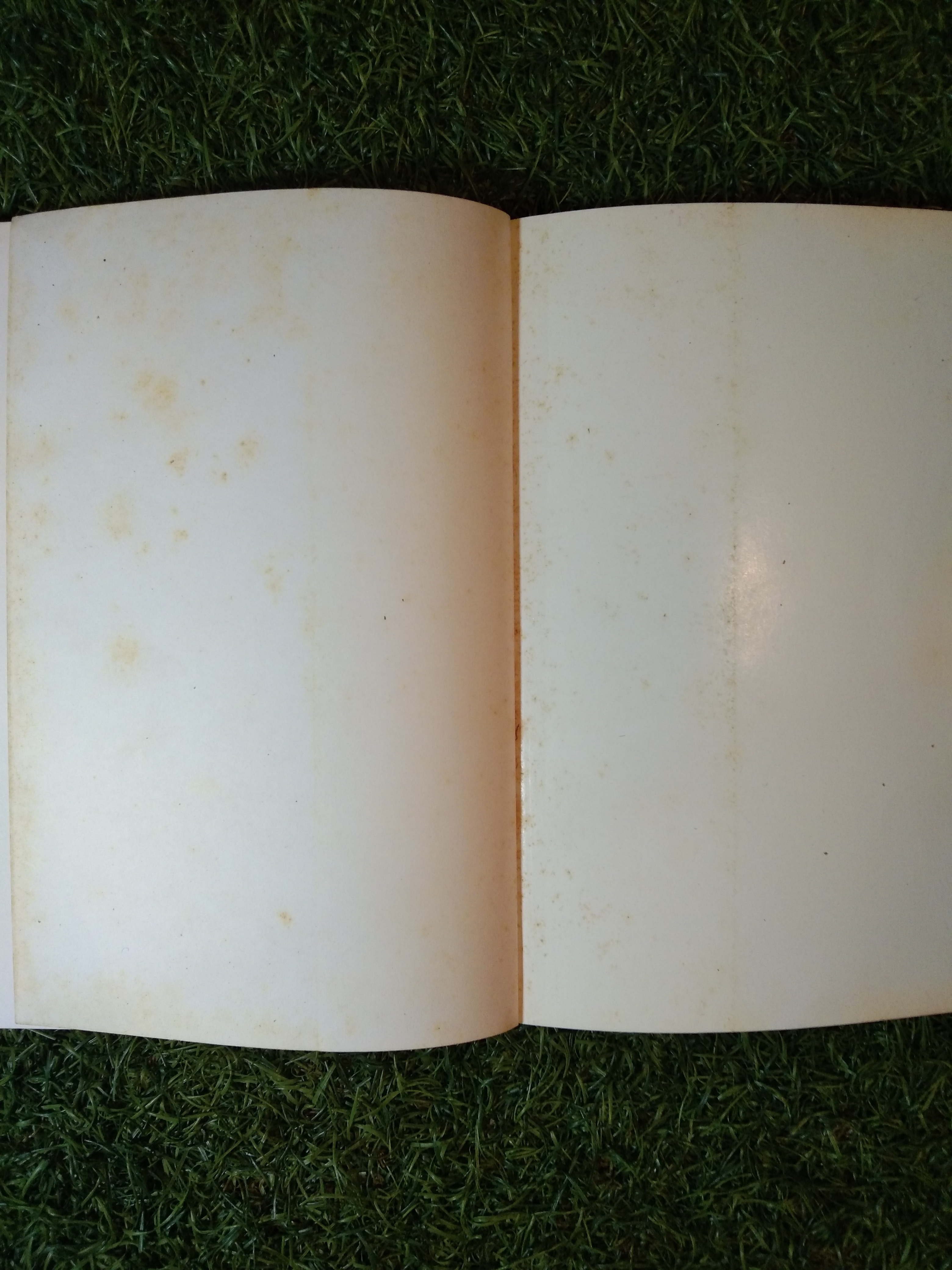 คู่มือกระต่าย THE RABBIT HANDBOOK / กณิกนันท์ ลีฬฆวรรณ