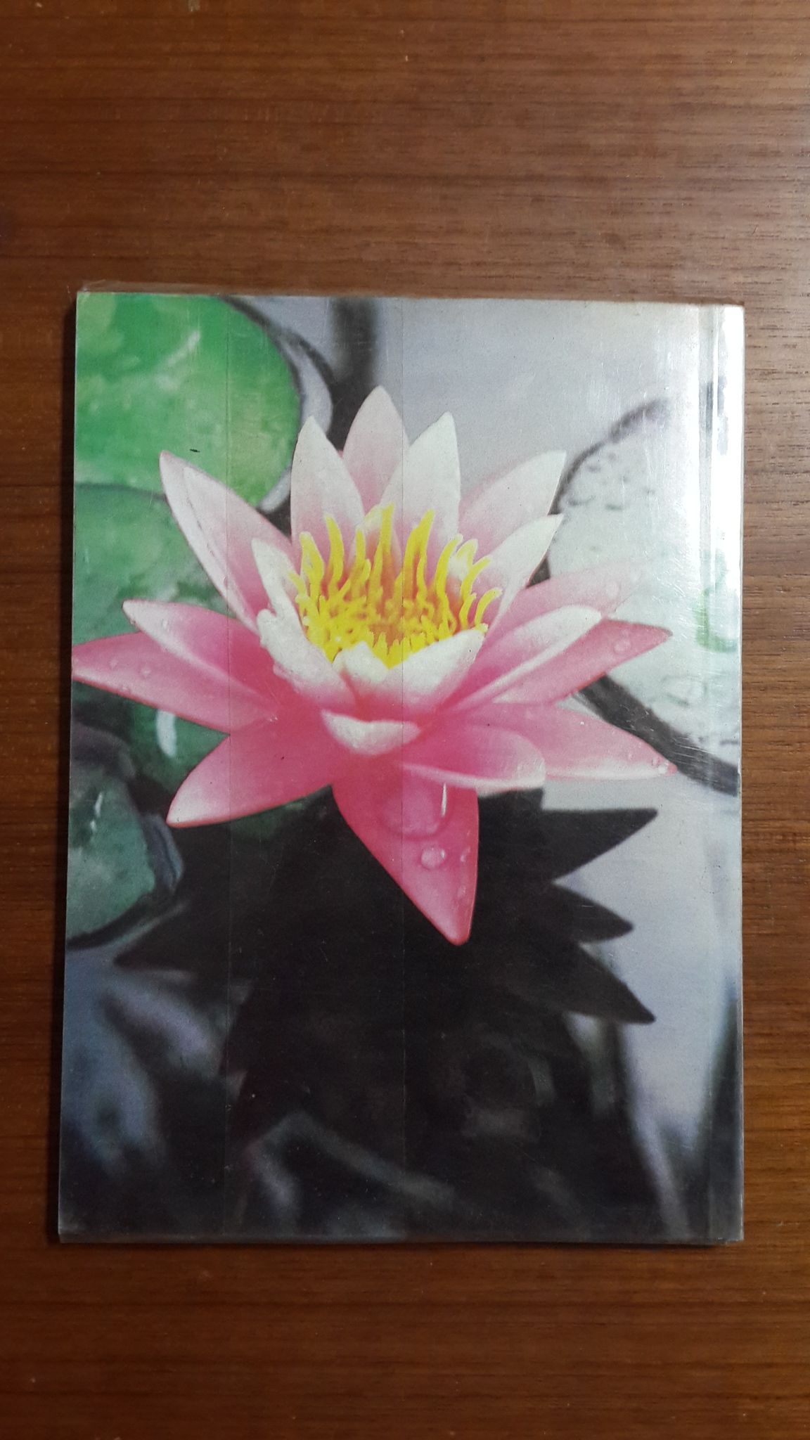 อนุสรณ์ในงานพระราชทานเพลิงศพ นายบรรจง มีแสงพราว