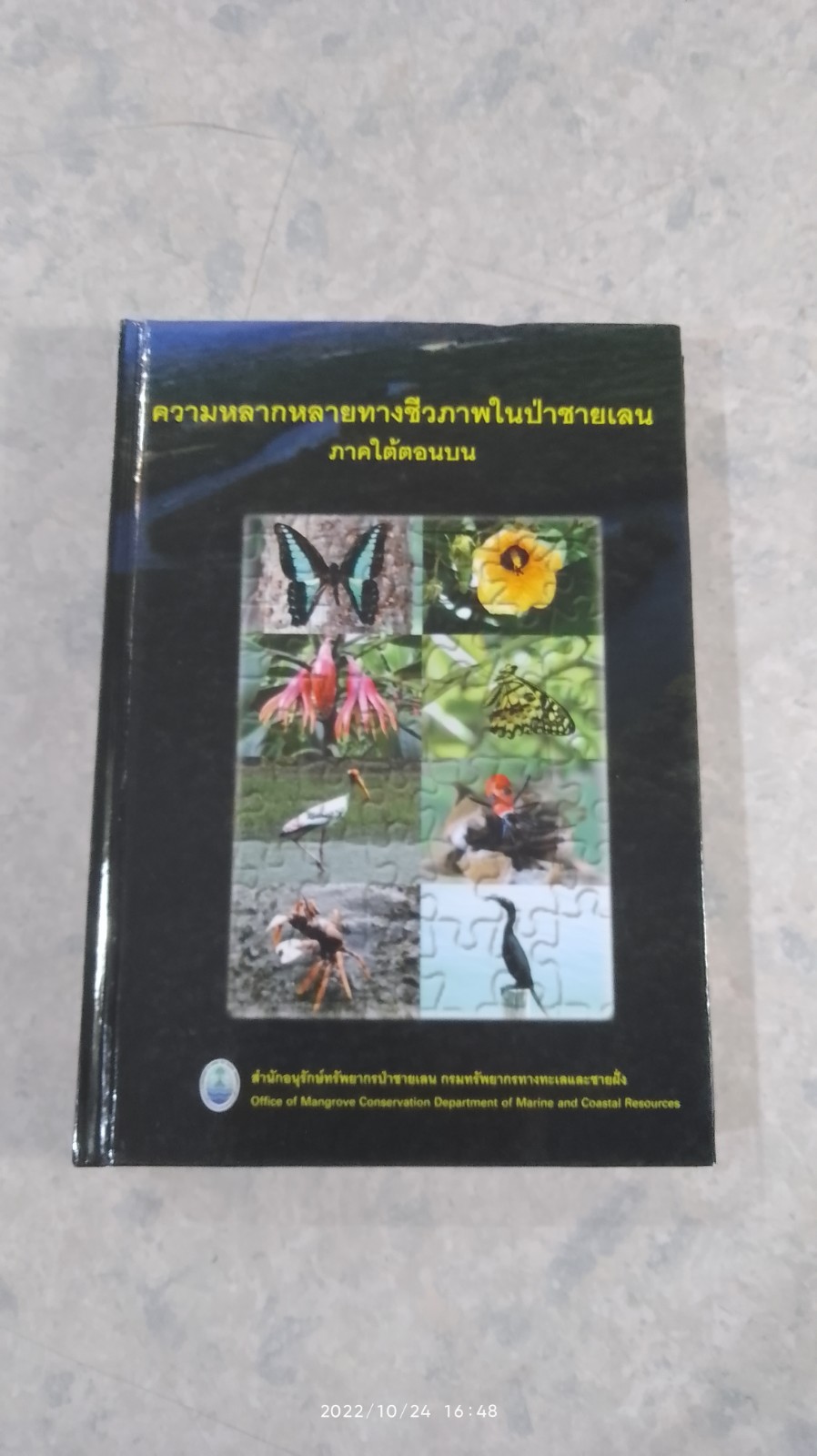 ความหลากหลายทางชีวภาพในป่าชายเลน ภาคใต้ตอนบน