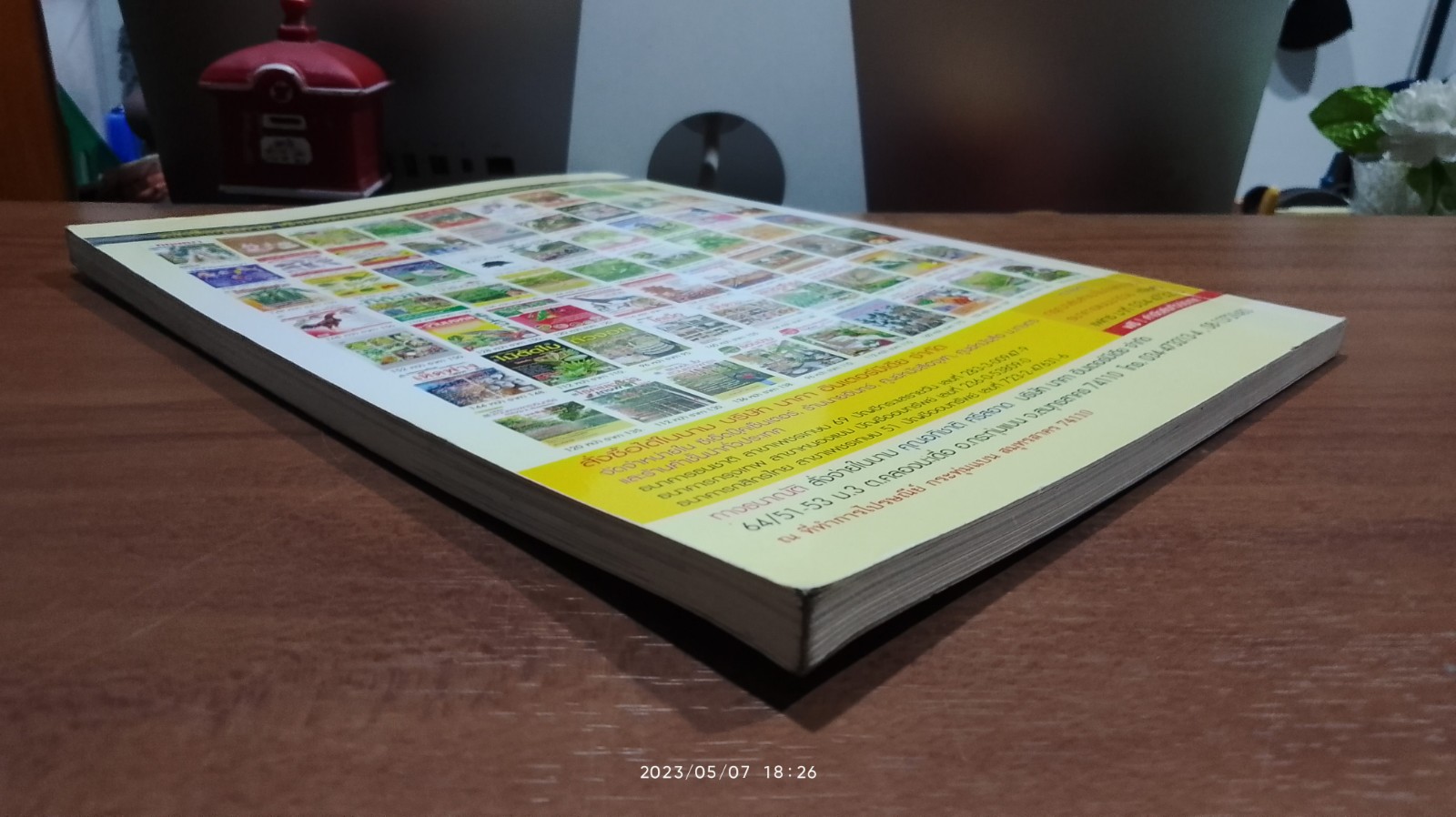 ปลาสวยงาม & พรรณไม้น้ำ เงินล้าน / พัชรี สำโรงเย็น