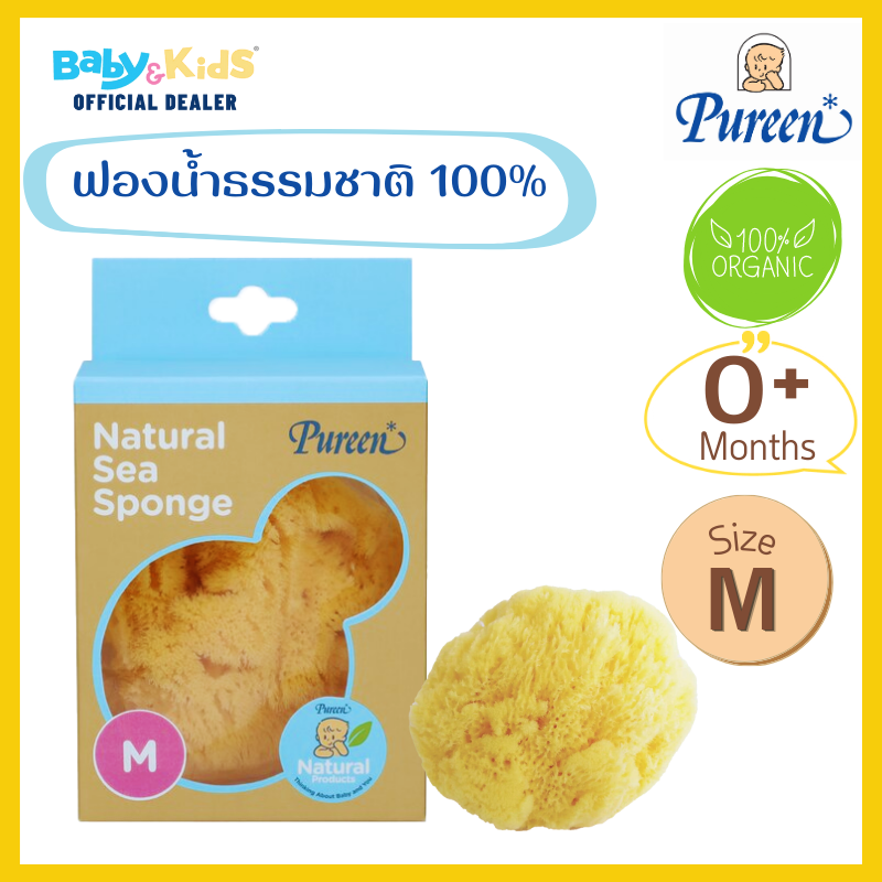 Pureen ฟองน้ำธรรมชาติอาบเด็ก ฟองน้ำธรรมชาติแท้ 100% size. M